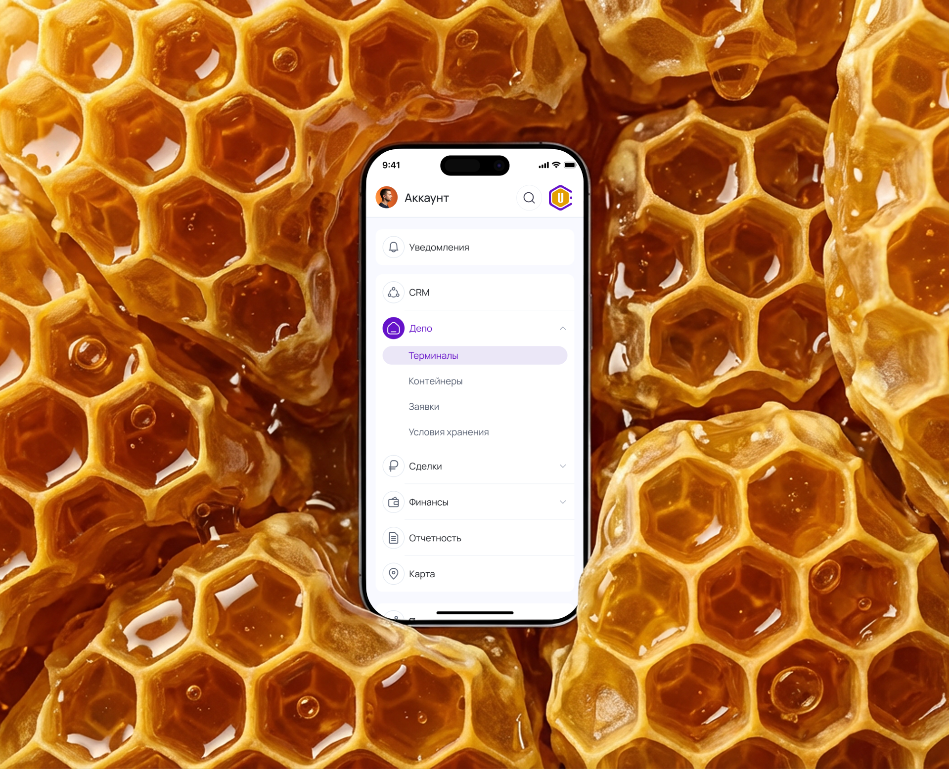 ULEY | CRM-система — Интерфейсы на Dprofile