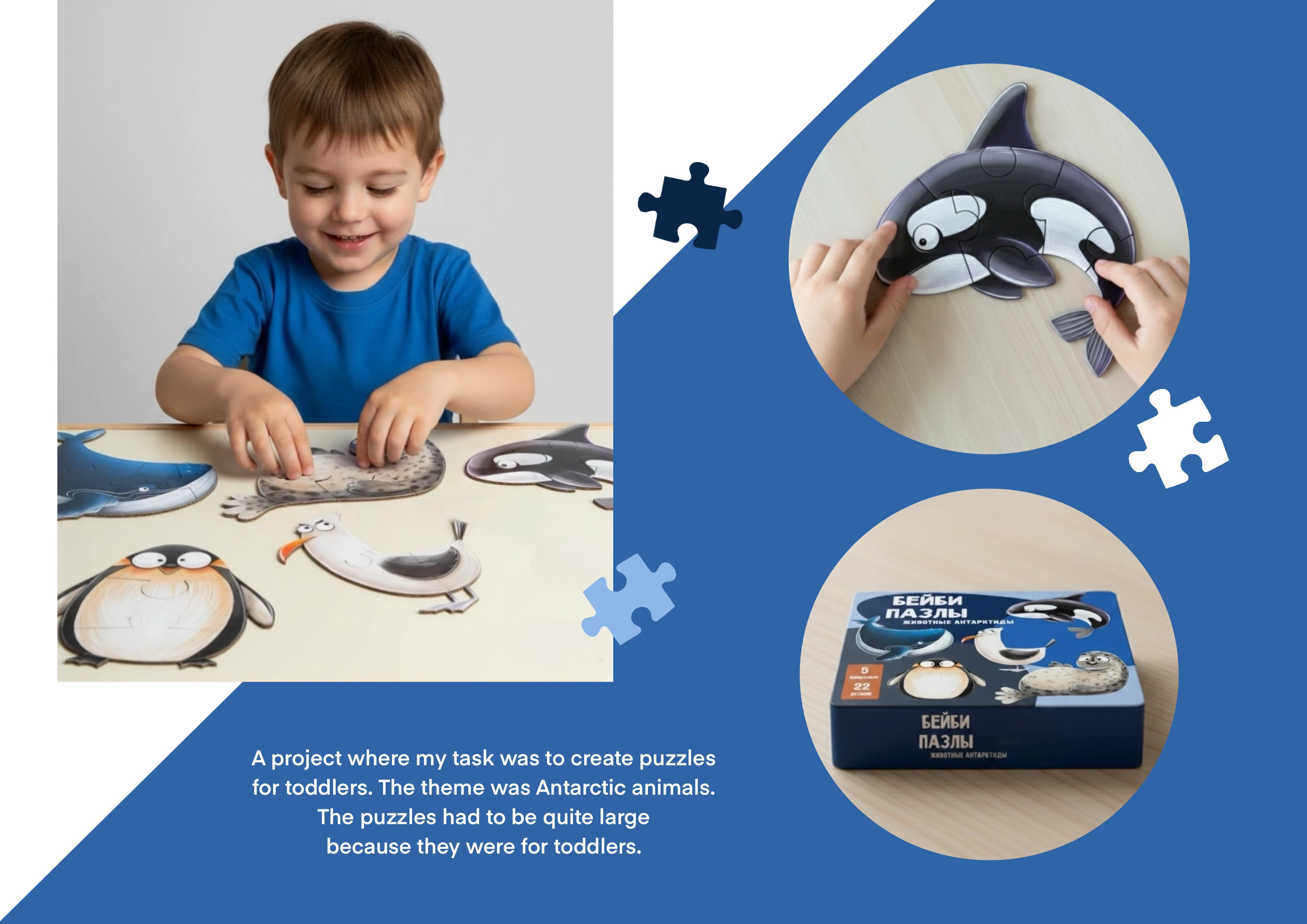 Бейби пазлы для малышей. Животные Антарктиды. Kids puzzle — Изображение №3 — Иллюстрация, Промдизайн на Dprofile