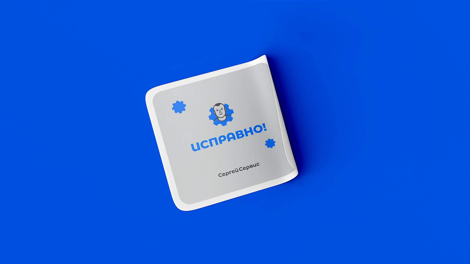 Сергей Сервис — Изображение №5 — Брендинг, Маркетинг на Dprofile