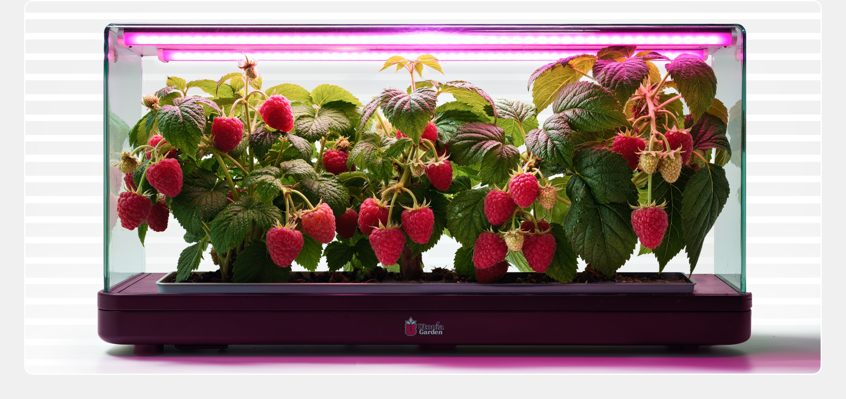 Long Night (ч.2) — Изображение №11 — Брендинг, Иллюстрация на Dprofile