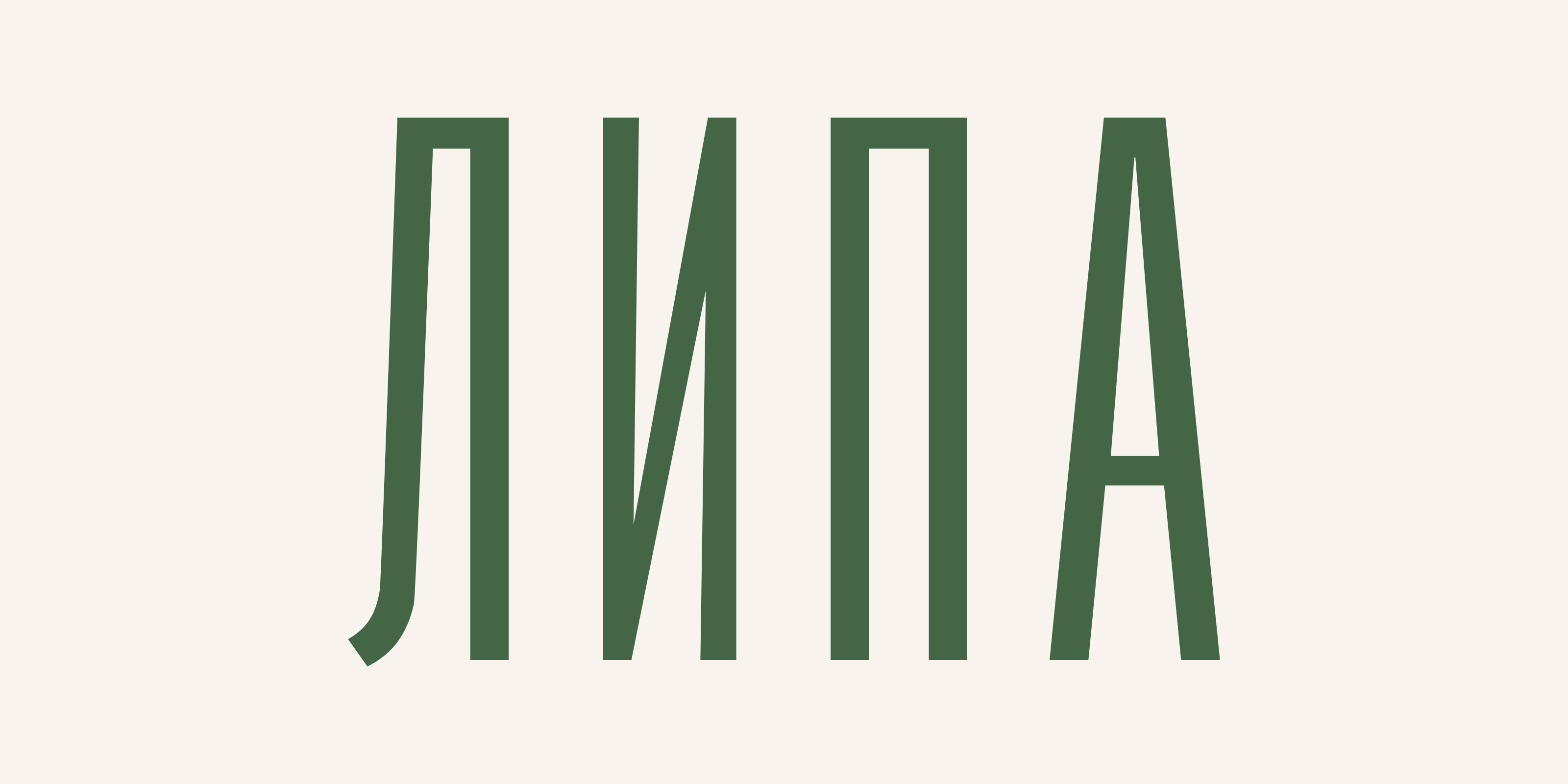 ЛИПА — Изображение №2 — Брендинг на Dprofile