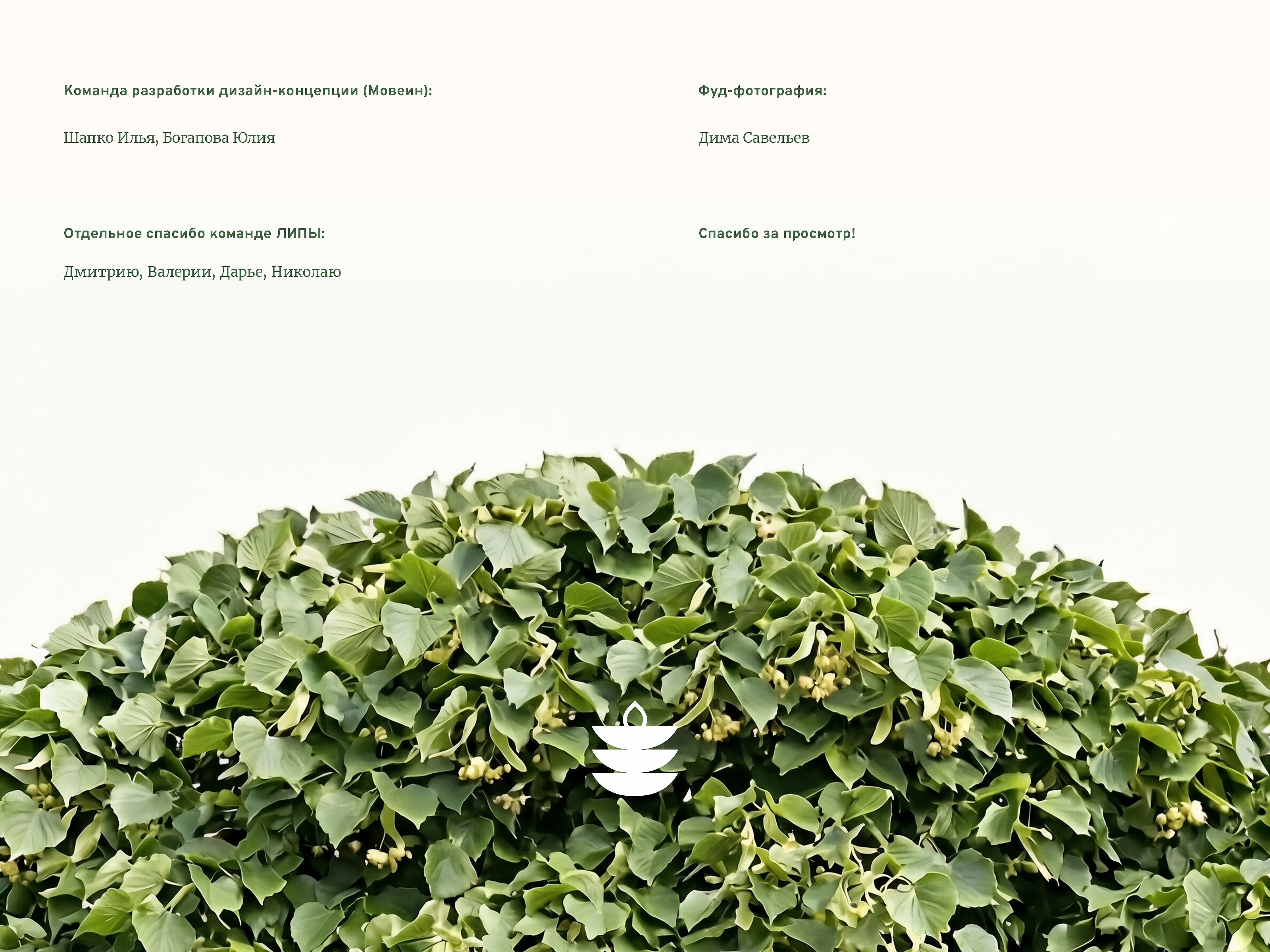 ЛИПА — Изображение №38 — Брендинг на Dprofile