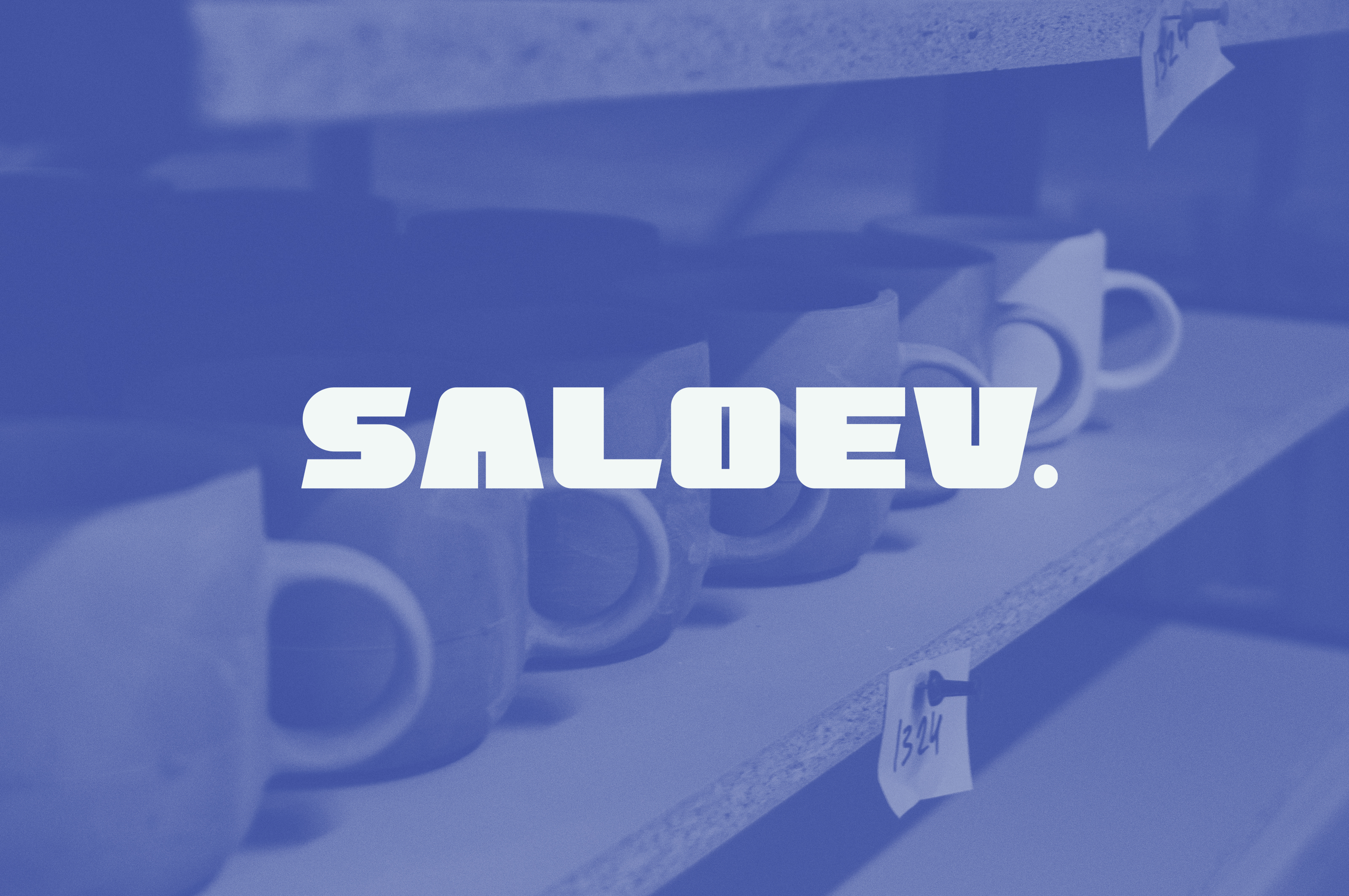 SALOEV. — Изображение №11 — Брендинг на Dprofile