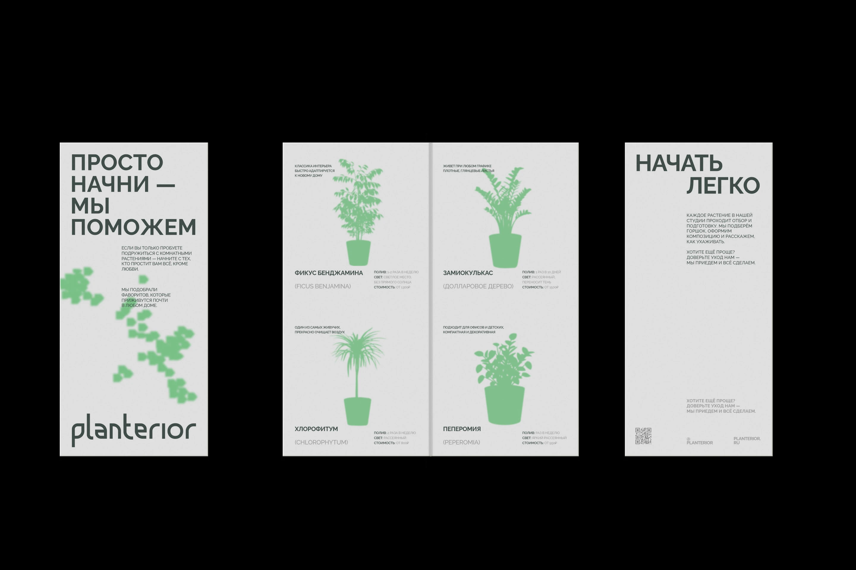 PLANTERIOR — Изображение №8 — Брендинг на Dprofile