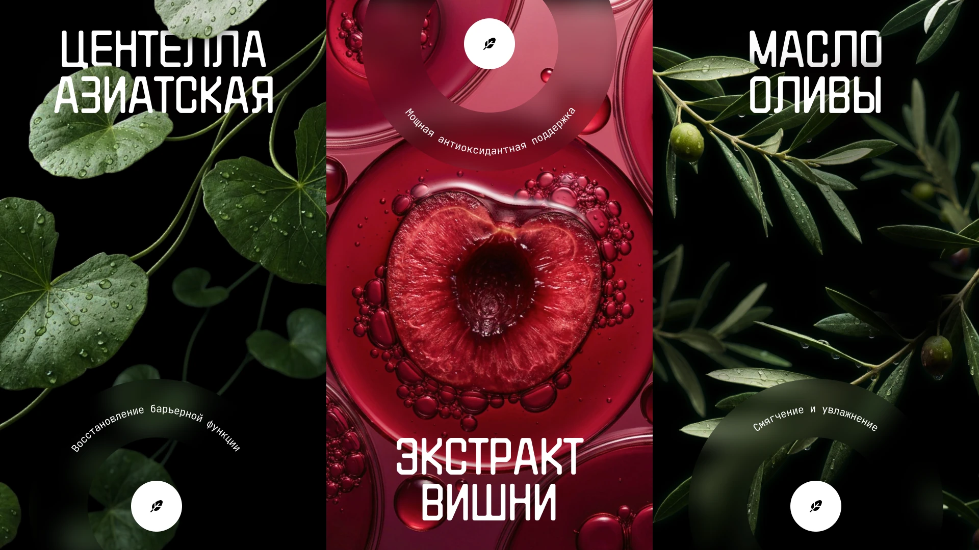 Дизайн-концепт презентации для косметического бренда — Изображение №5 — Графика, Маркетинг на Dprofile
