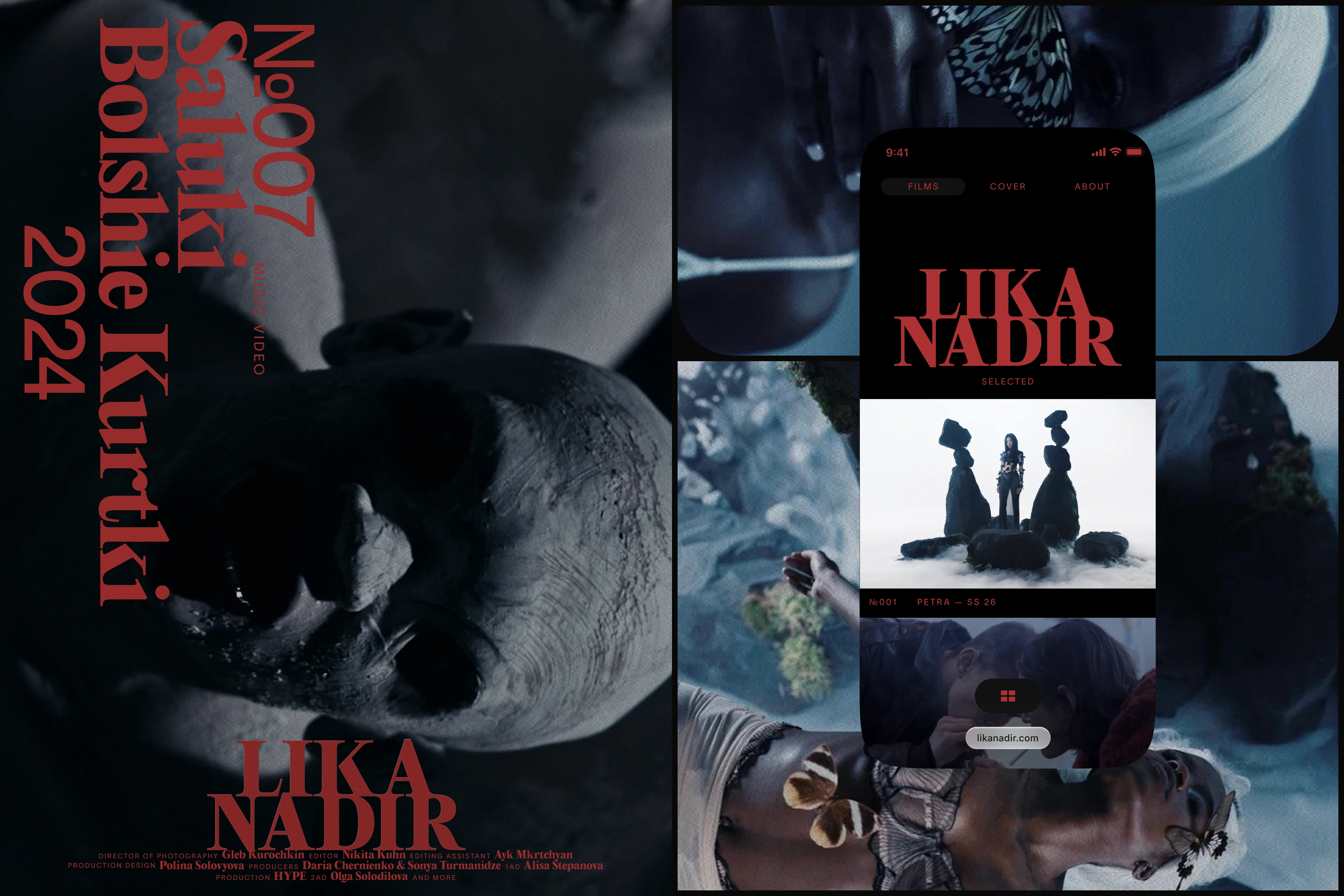 LIKA NADIR — Изображение №2 — Интерфейсы, Анимация на Dprofile