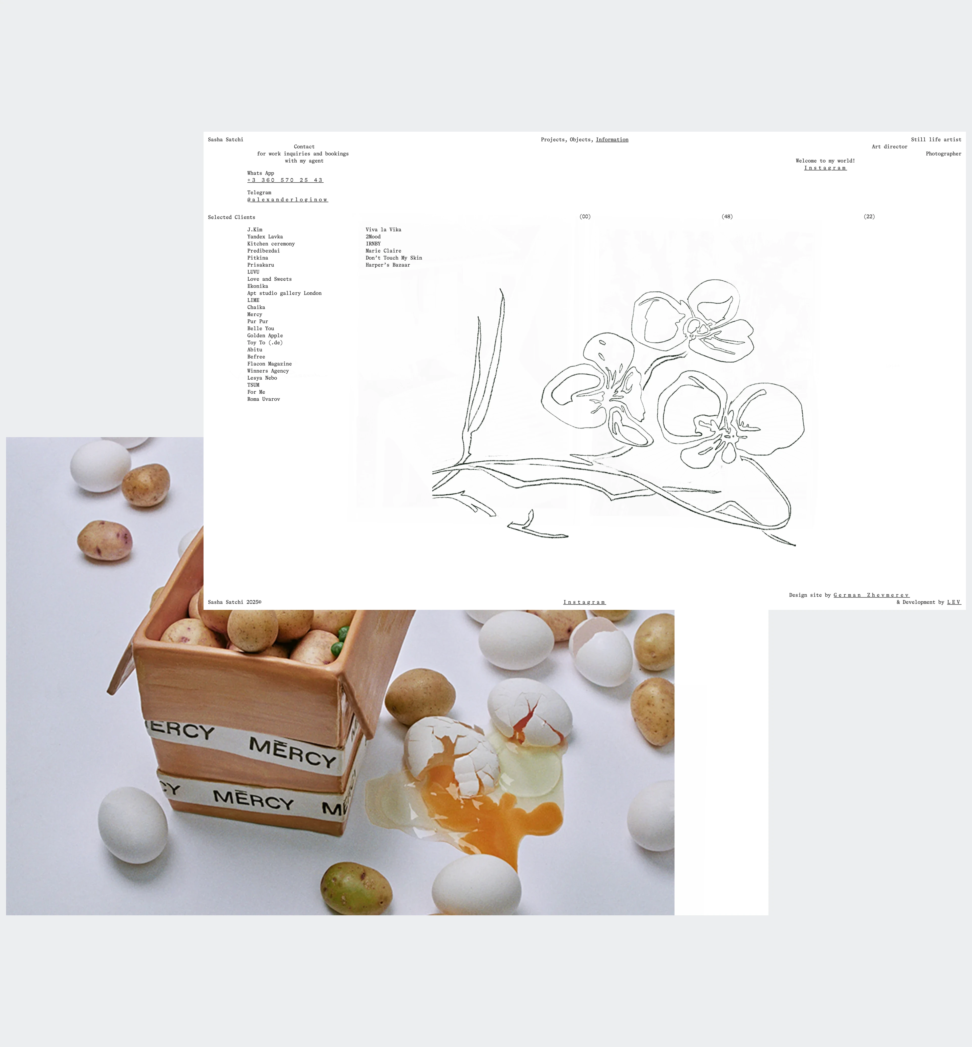 Sasha Satchi — Изображение №15 — Интерфейсы, Брендинг на Dprofile