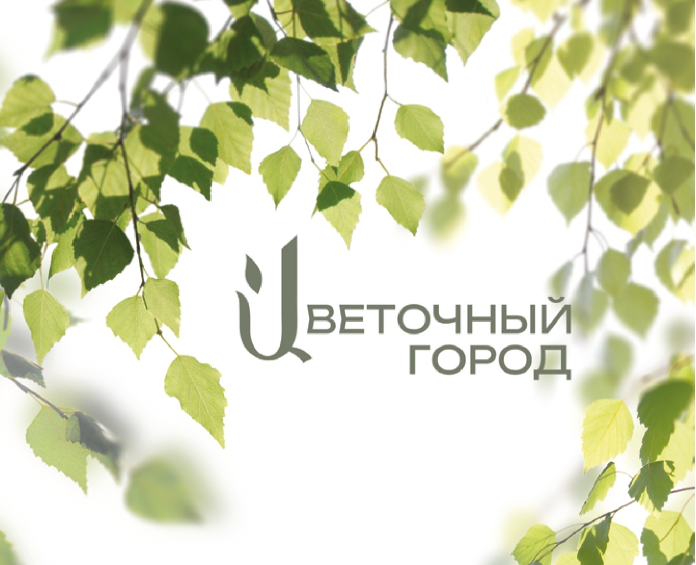 Каталог ЖК "Цветочный город" — Брендинг, Графика на Dprofile