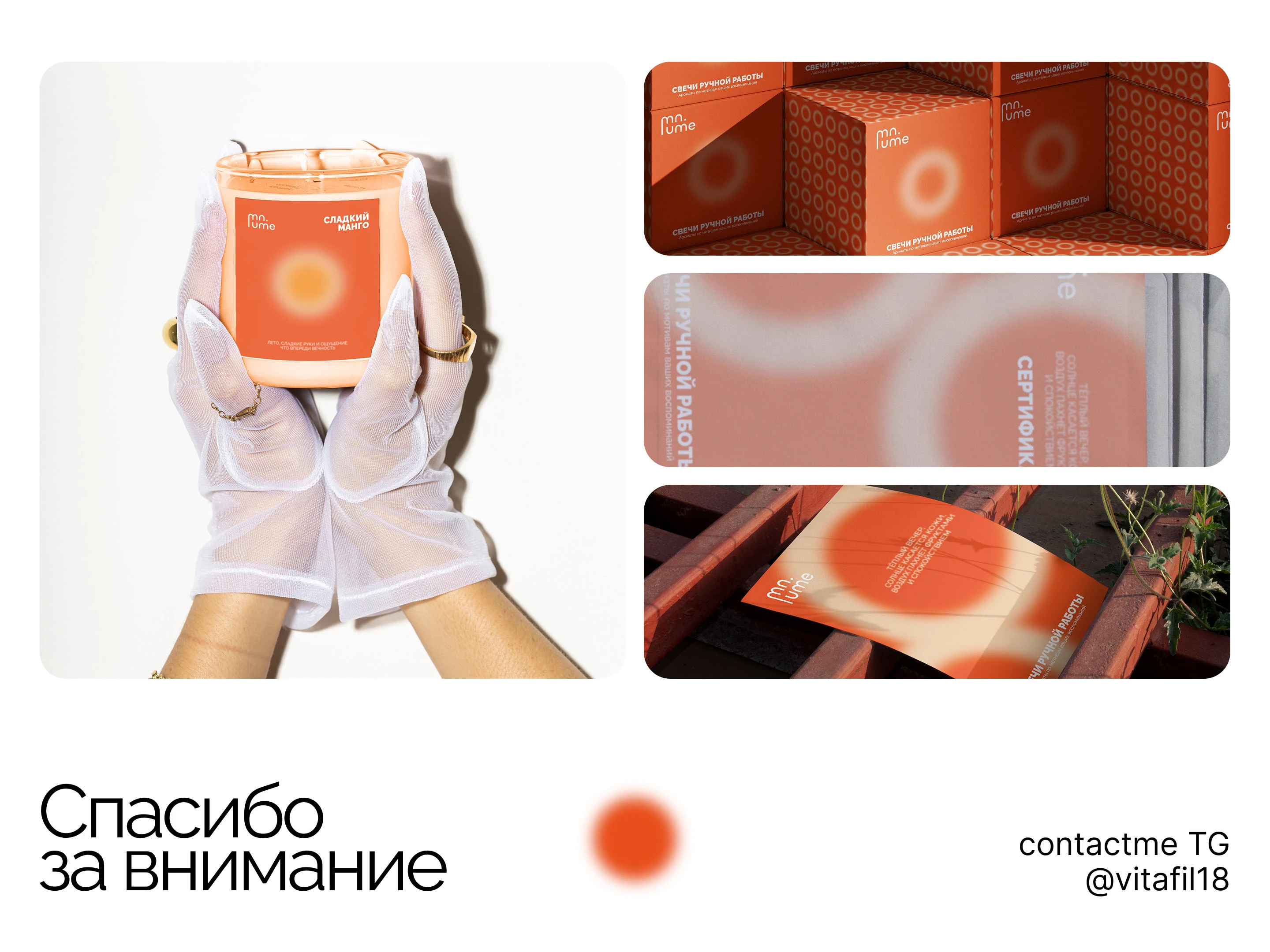 Фирменный стиль / Логотип / Упаковка для бренда свечей — Изображение №13 — Брендинг на Dprofile