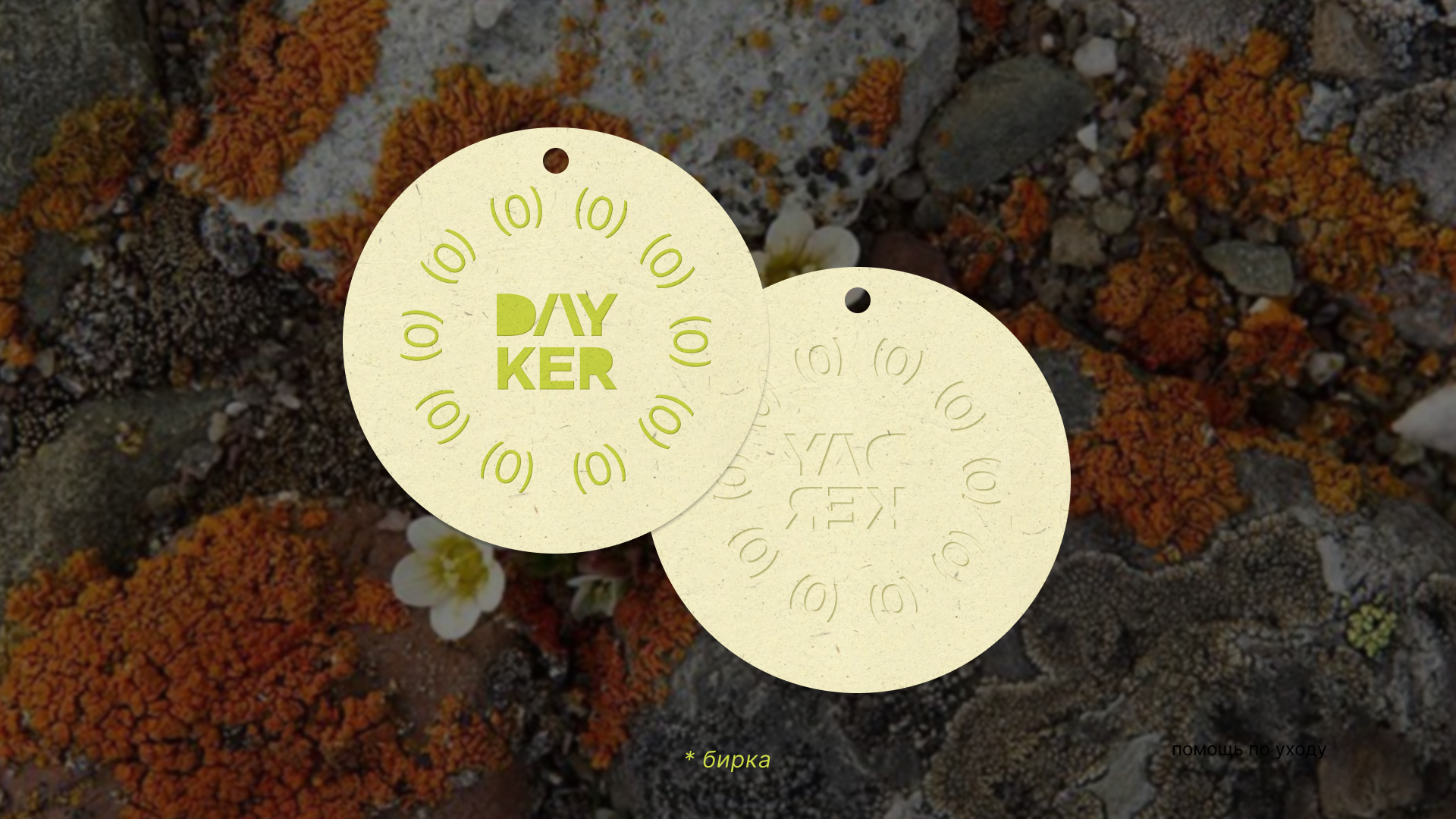 branding цветочного / DAYKEROV — Изображение №3 — Брендинг, Графика на Dprofile