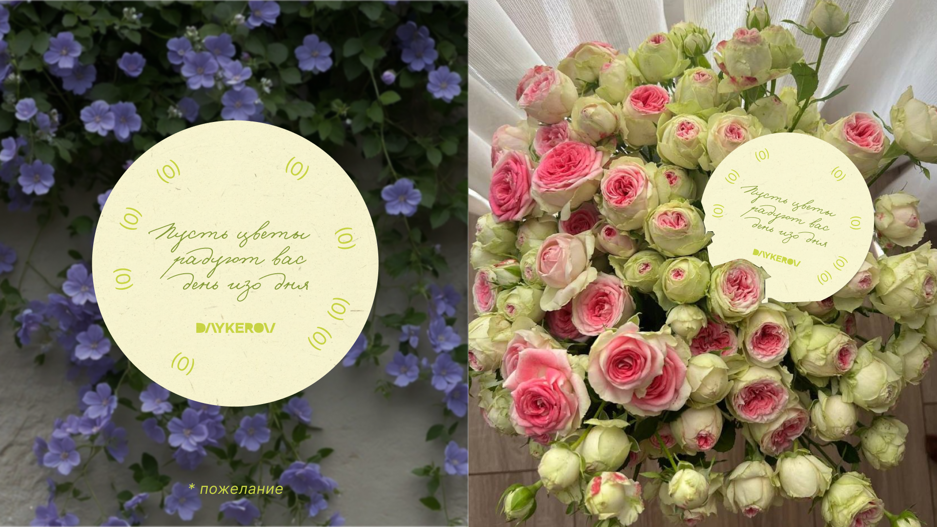 branding цветочного / DAYKEROV — Изображение №5 — Брендинг, Графика на Dprofile