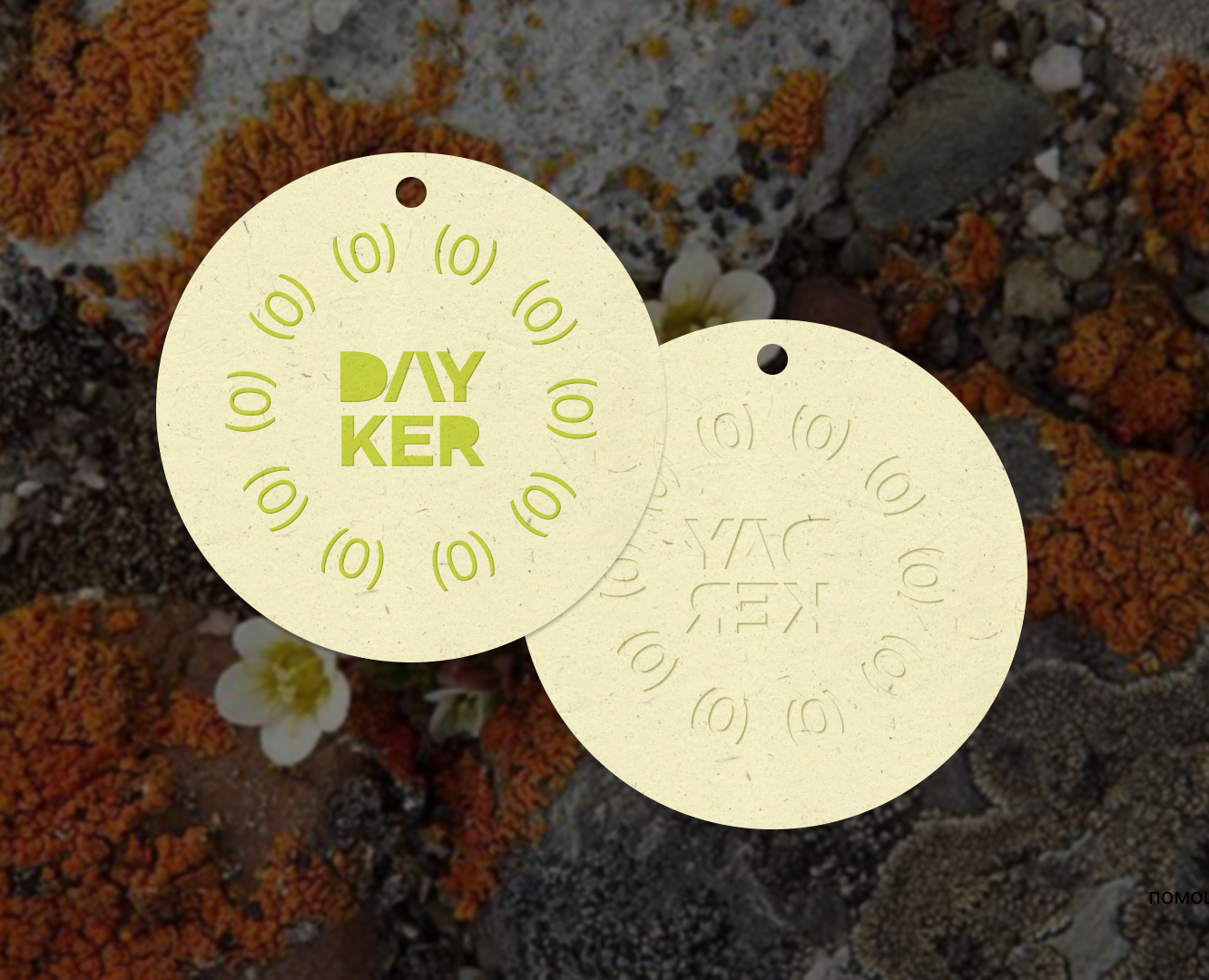 branding цветочного / DAYKEROV — Брендинг, Графика на Dprofile