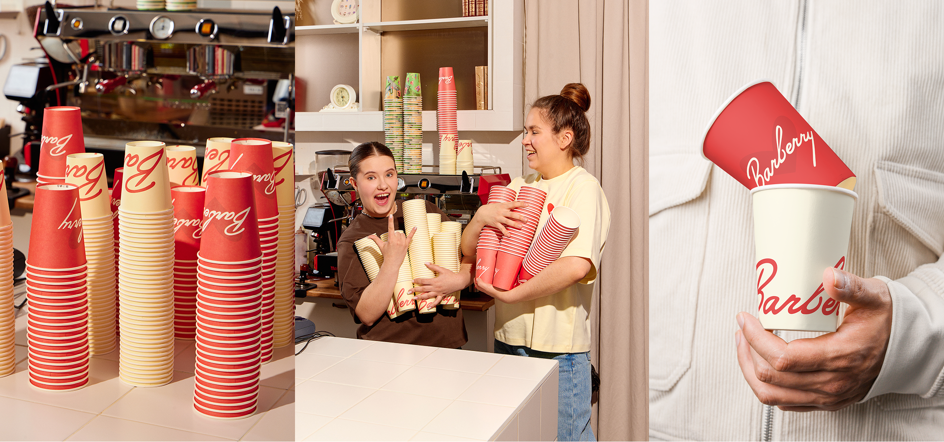 Barberry — Изображение №8 — Брендинг, Иллюстрация на Dprofile