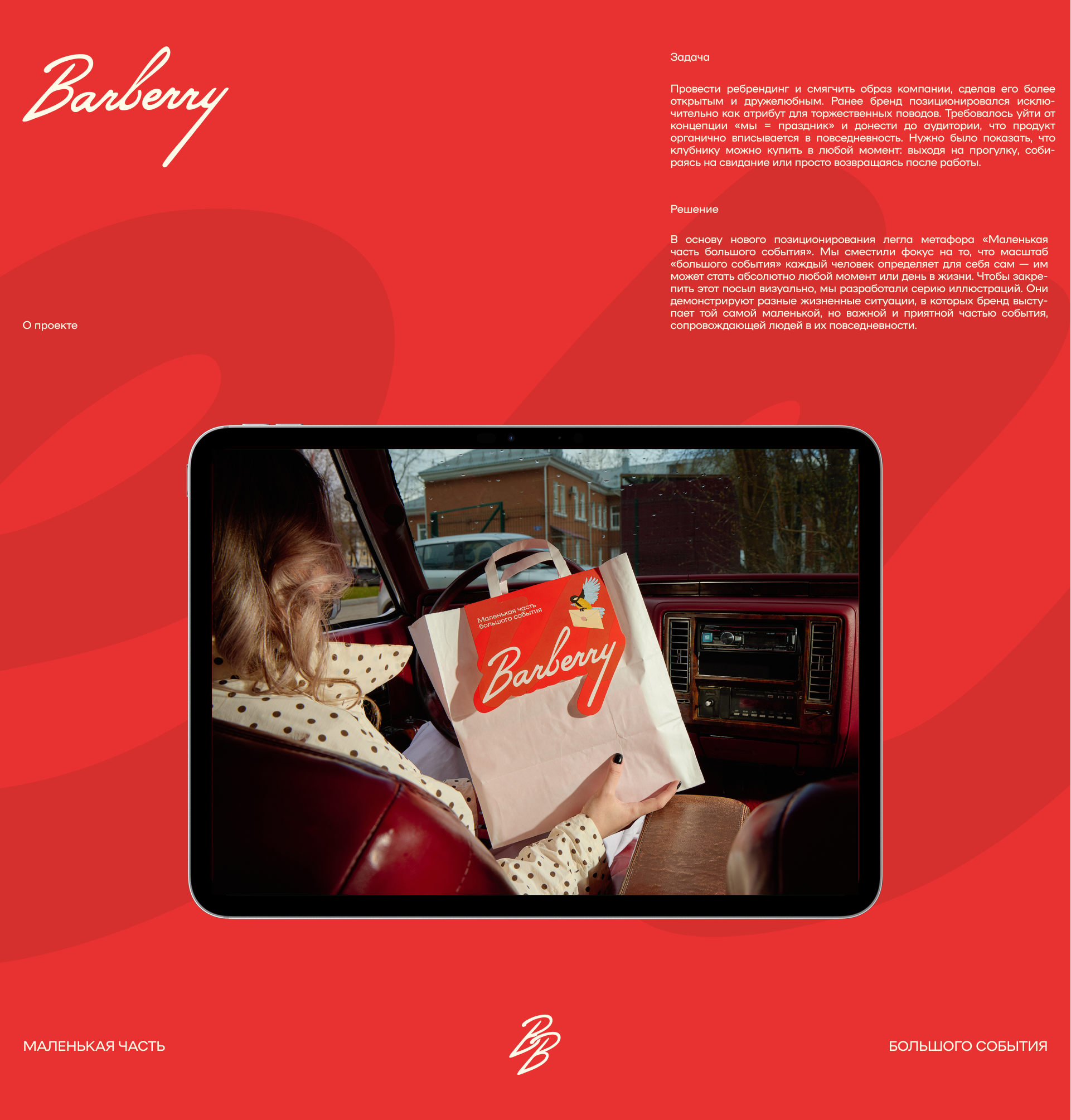 Barberry — Изображение №2 — Брендинг, Иллюстрация на Dprofile