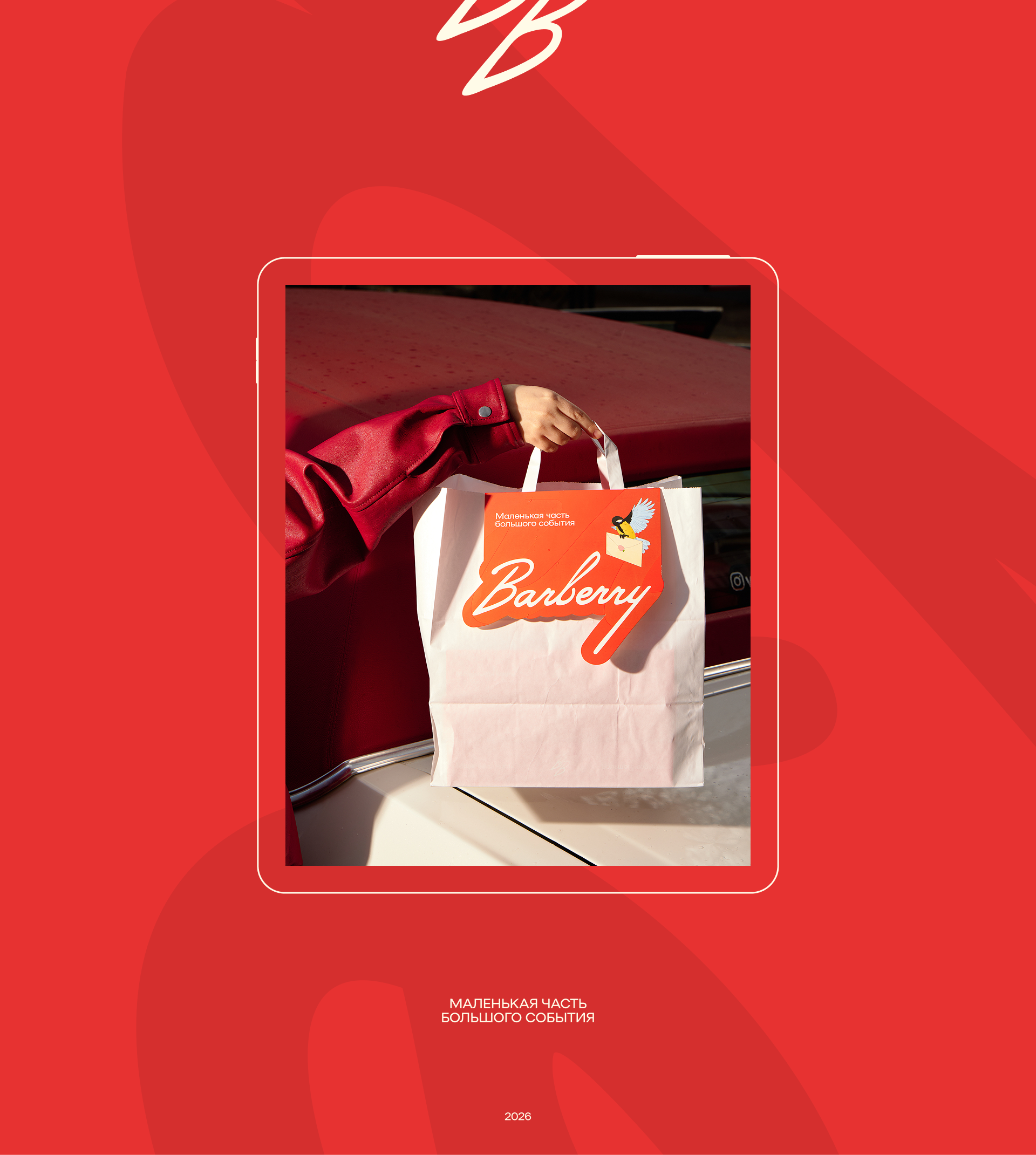 Barberry — Изображение №11 — Брендинг, Иллюстрация на Dprofile