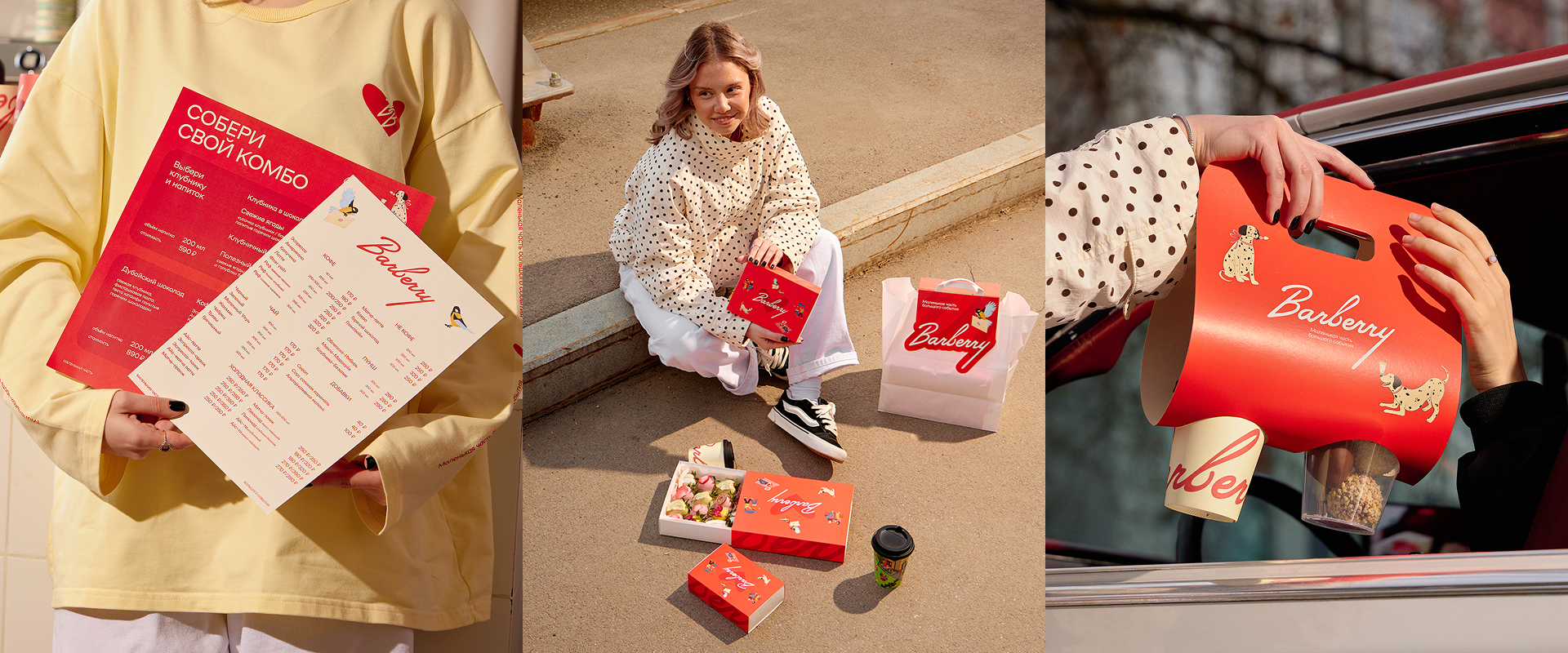 Barberry — Изображение №12 — Брендинг, Иллюстрация на Dprofile