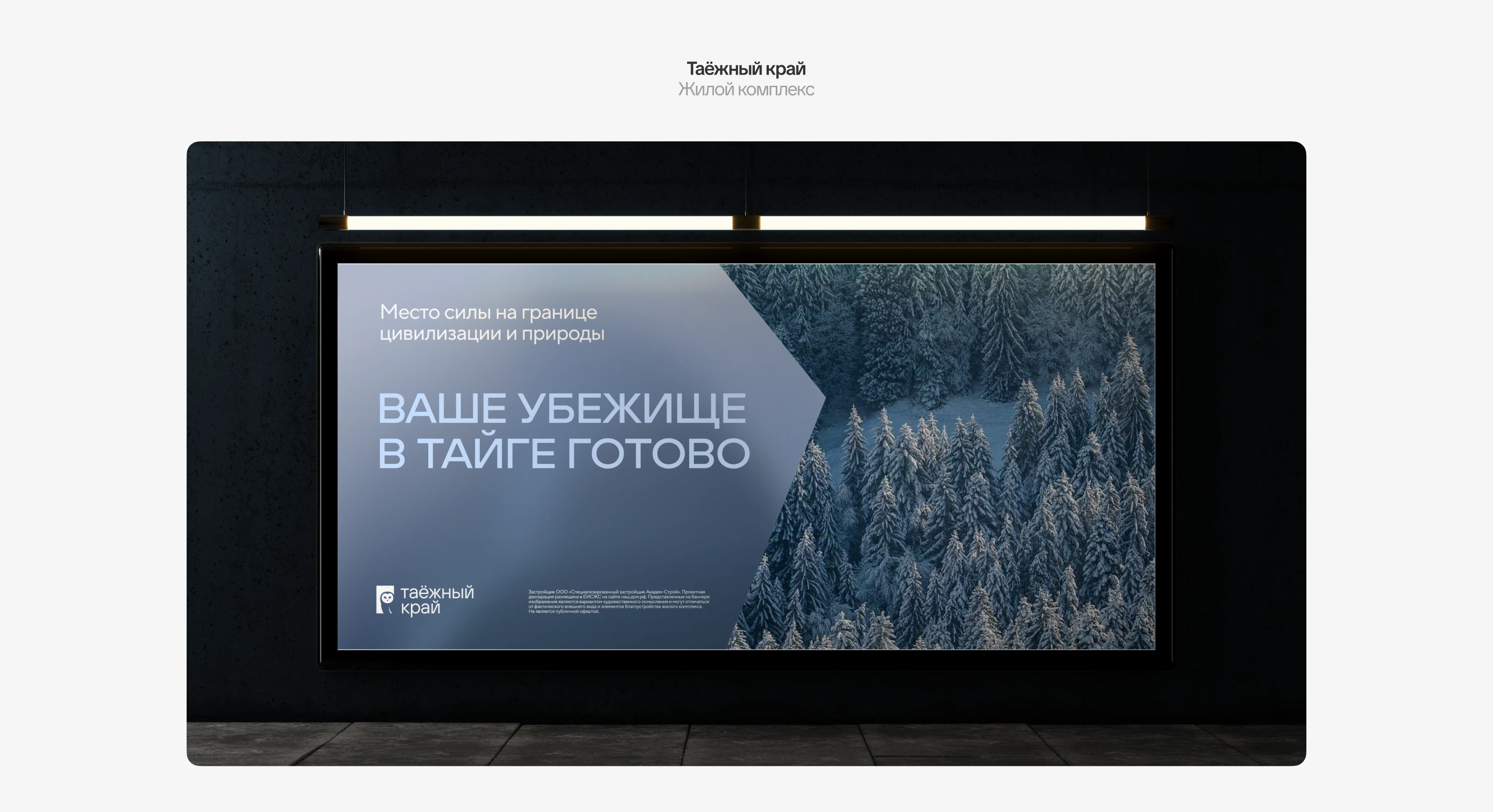 Брендфолио 2025 — Изображение №12 — Брендинг, Графика на Dprofile