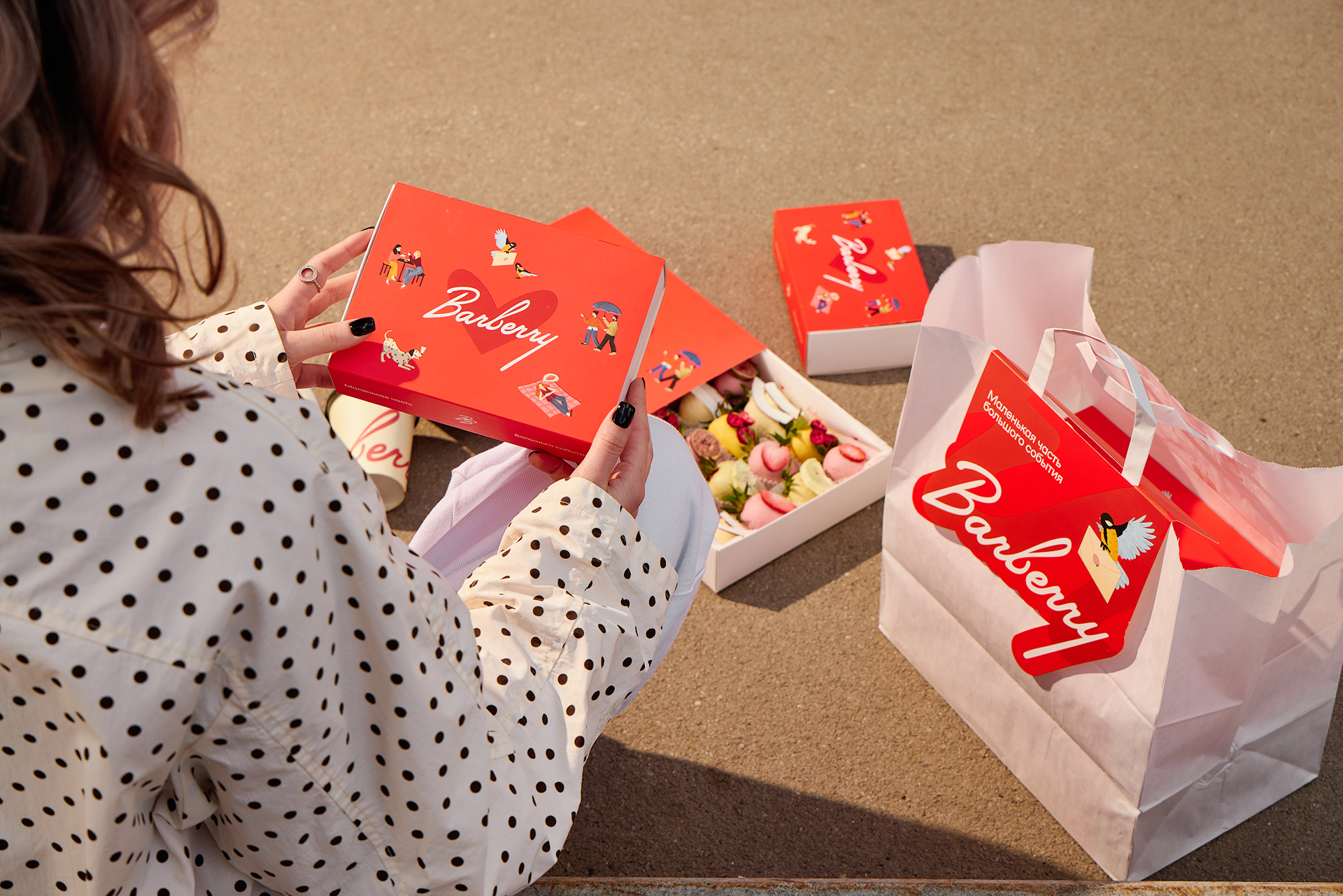 Barberry — Изображение №13 — Брендинг, Иллюстрация на Dprofile