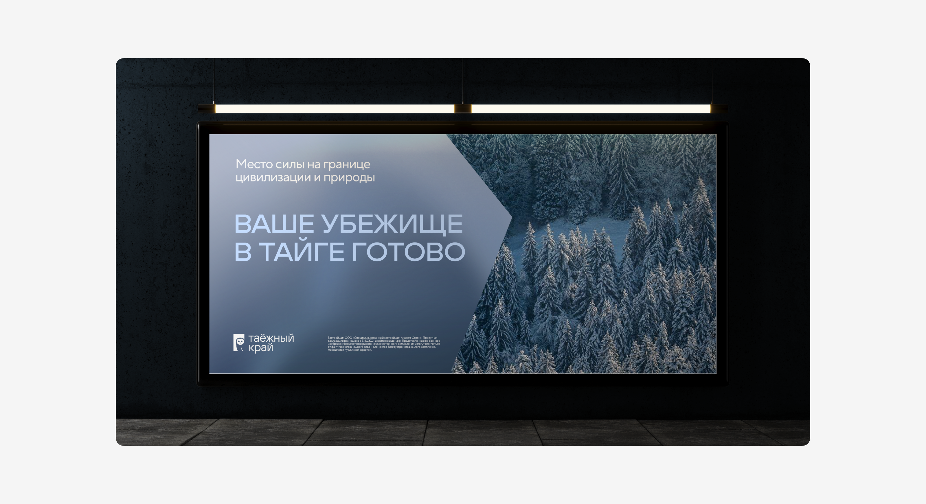 Брендфолио 2025 — Изображение №12 — Брендинг, Графика на Dprofile