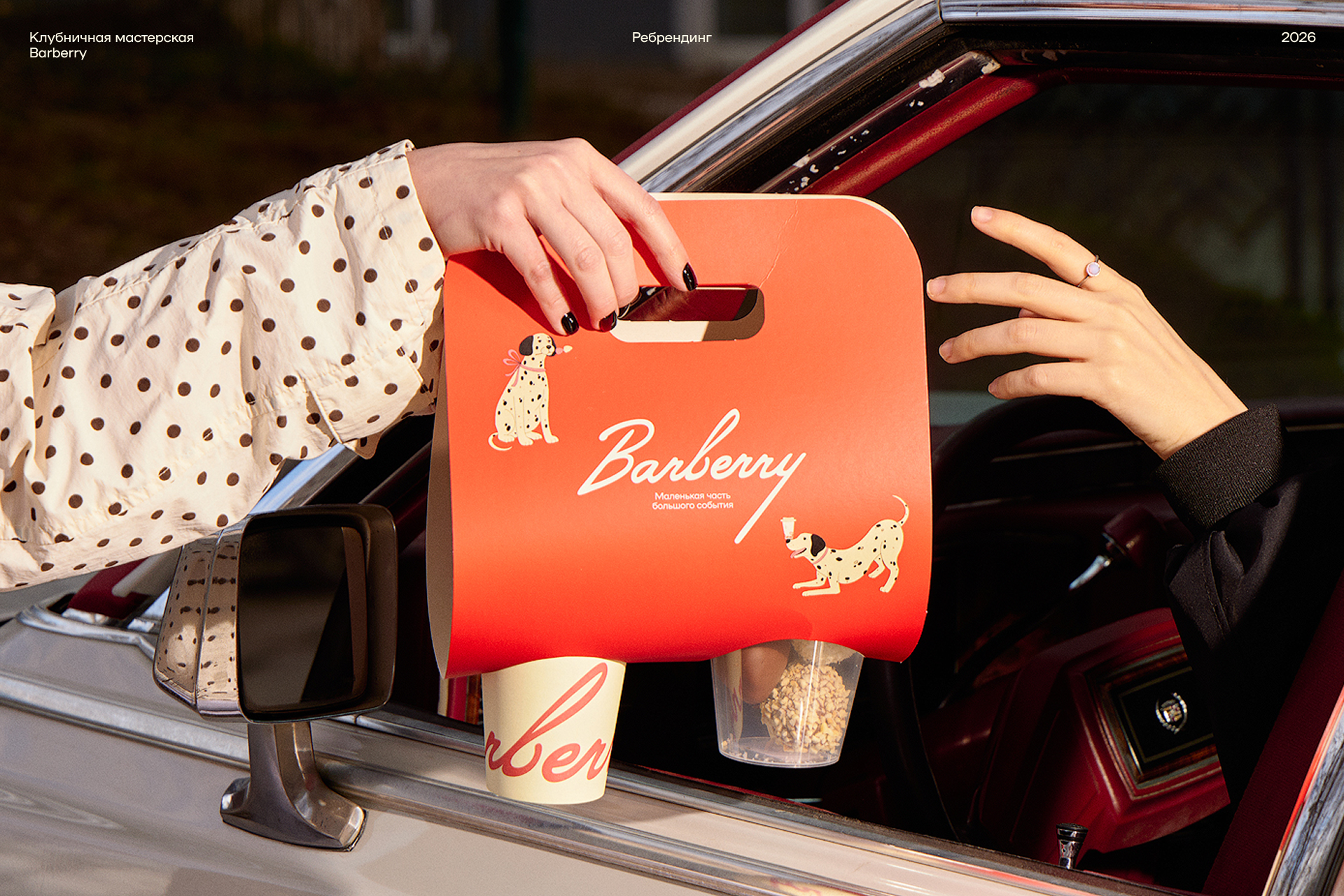 Barberry — Изображение №1 — Брендинг, Иллюстрация на Dprofile