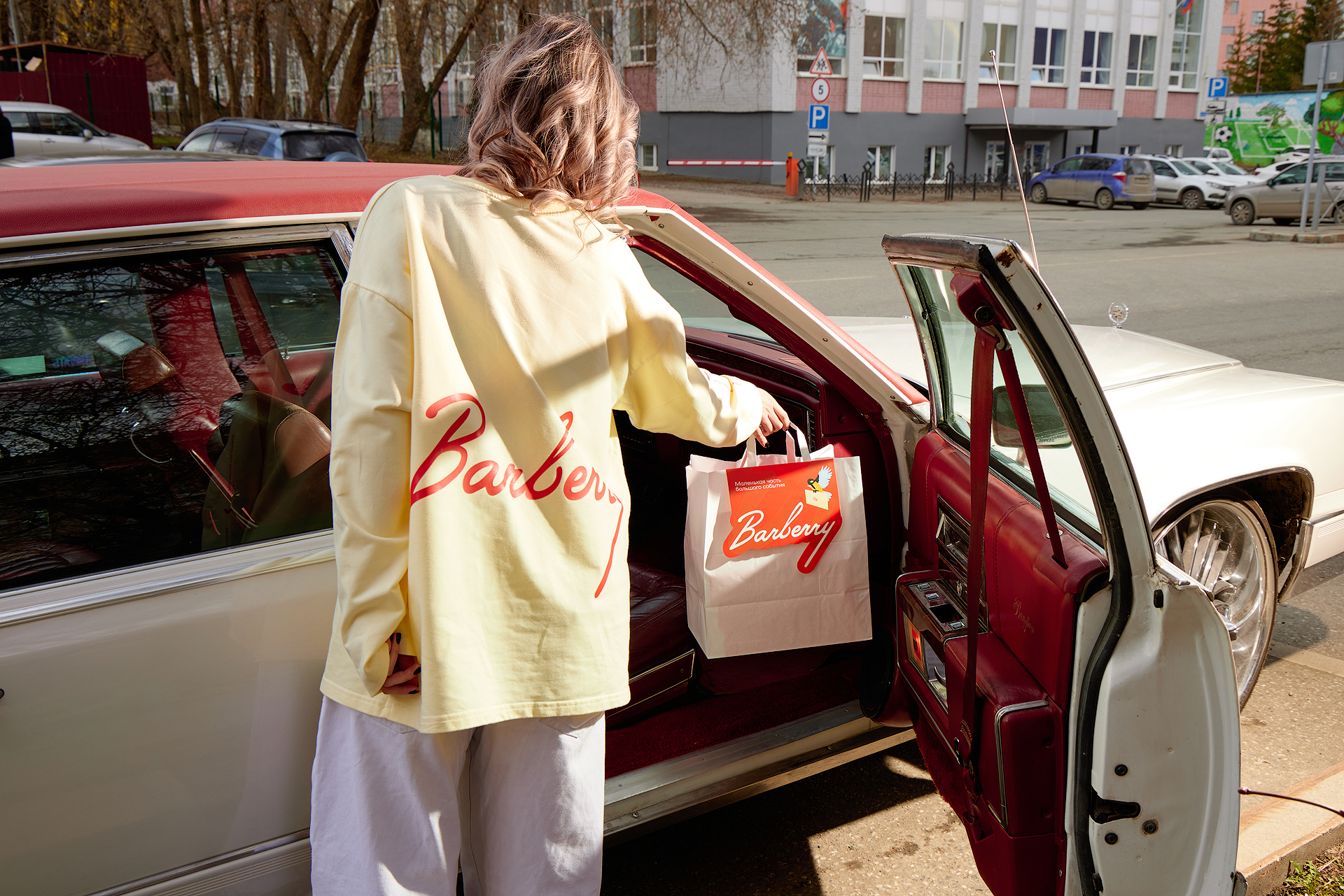 Barberry — Изображение №3 — Брендинг, Иллюстрация на Dprofile