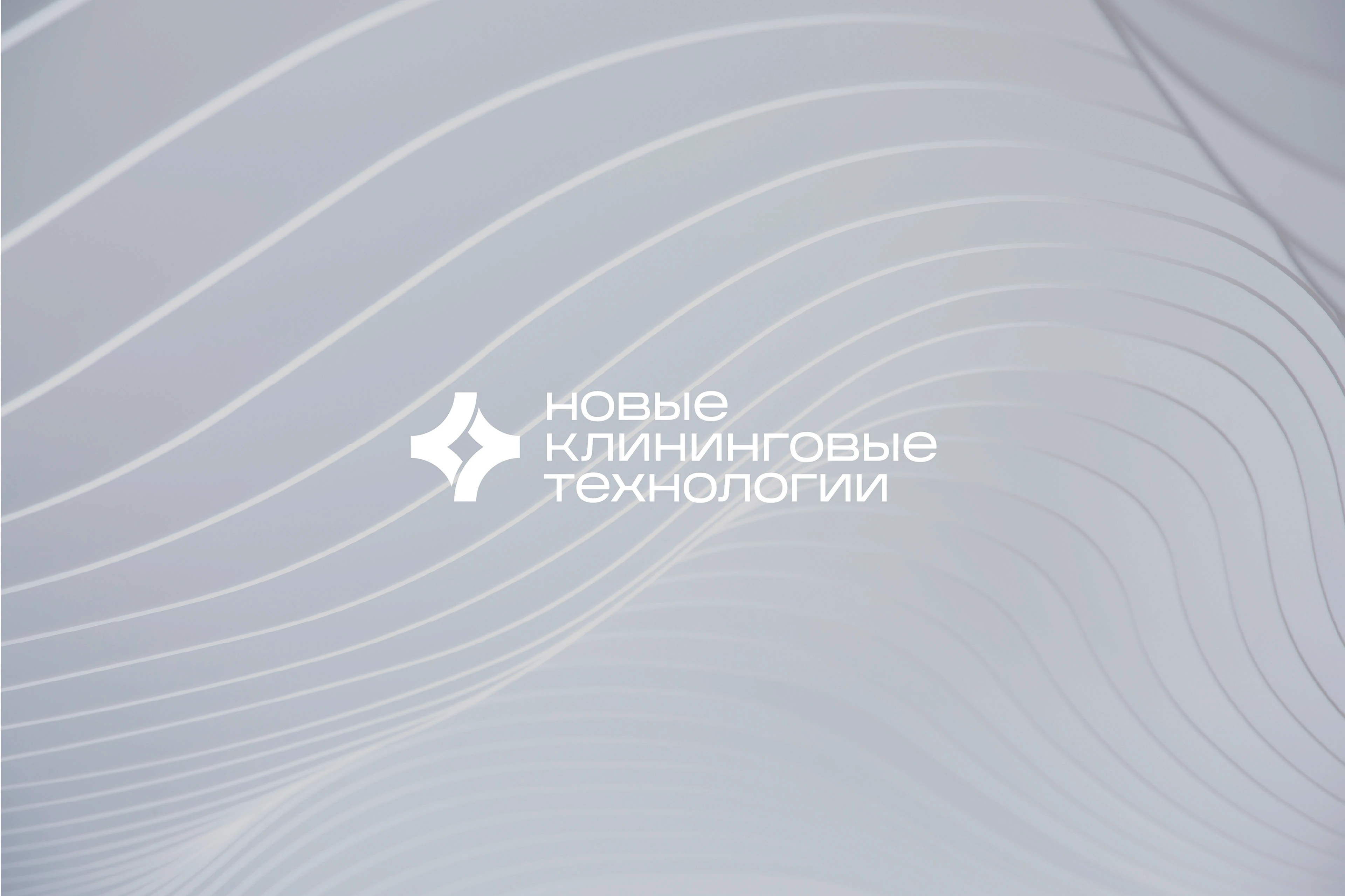 КЛИНИНГ | ФИРМЕННЫЙ СТИЛЬ | ЛОГОТИП | ГАЙДЛАЙН — Изображение №4 — Брендинг, Графика на Dprofile