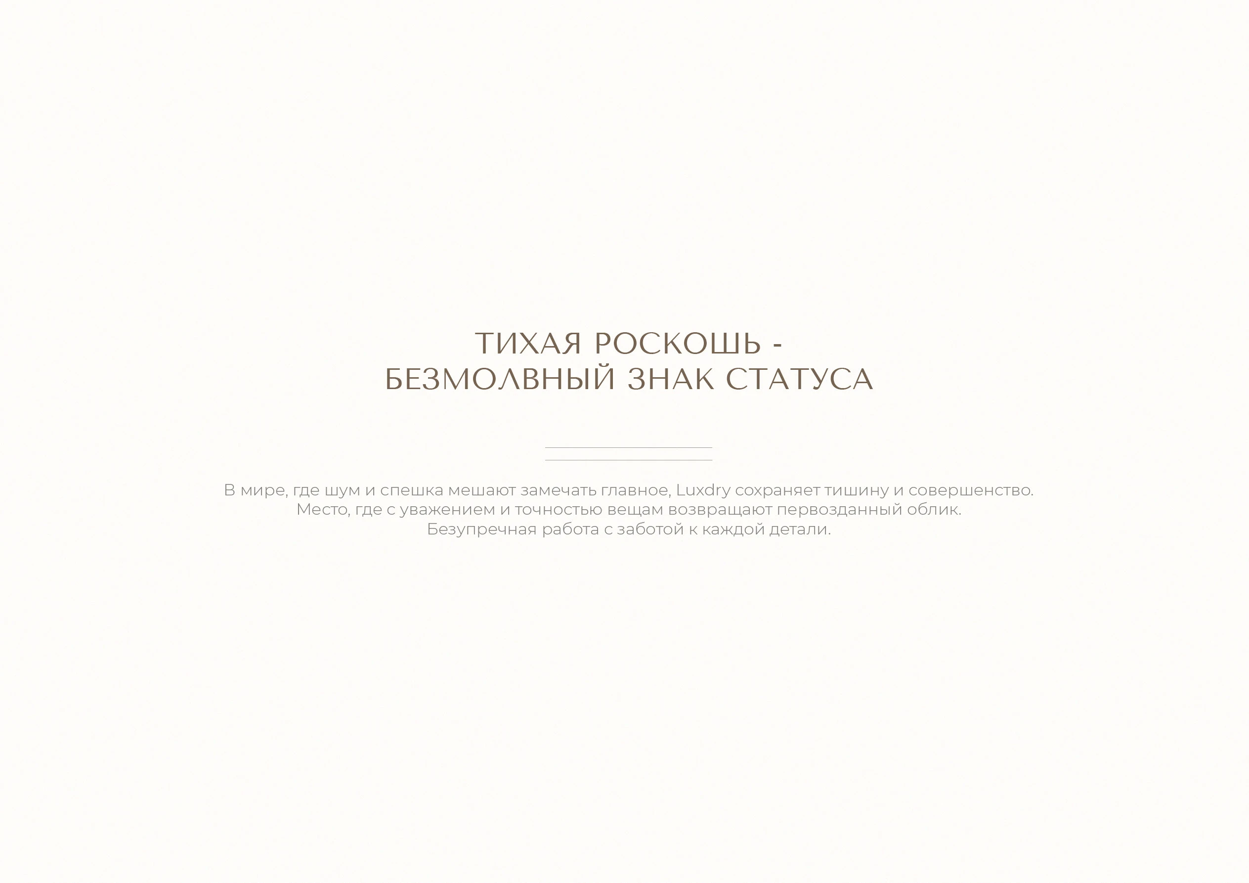 ФИРМЕННЫЙ СТИЛЬ | ЛОГОТИП | АЙДЕНТИКА | ХИМЧИСТКА — Изображение №2 — Брендинг, Графика на Dprofile