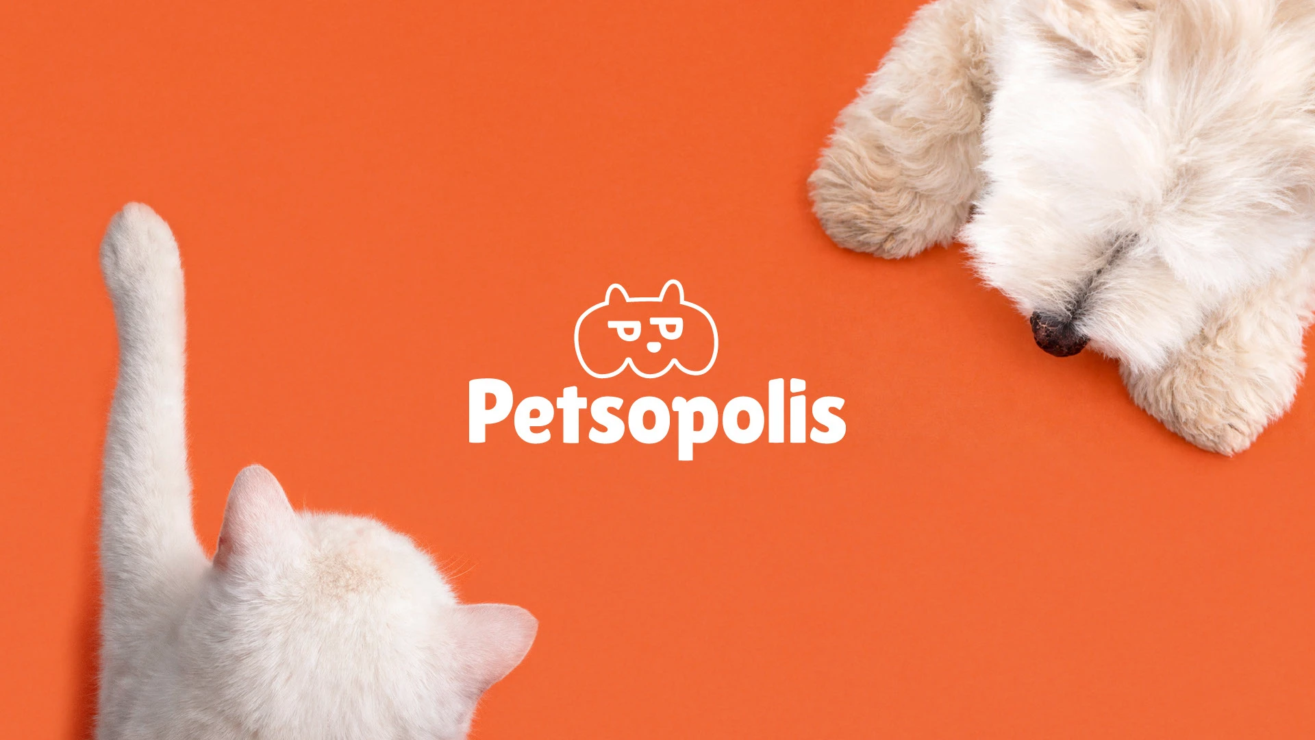Petsopolis Айдентика бренда товаров для животных — Изображение №1 — Брендинг на Dprofile