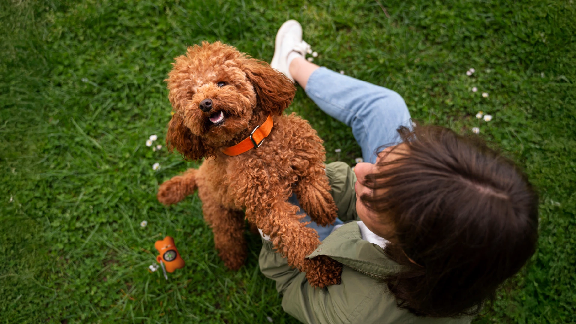 Petsopolis Айдентика бренда товаров для животных — Изображение №11 — Брендинг на Dprofile