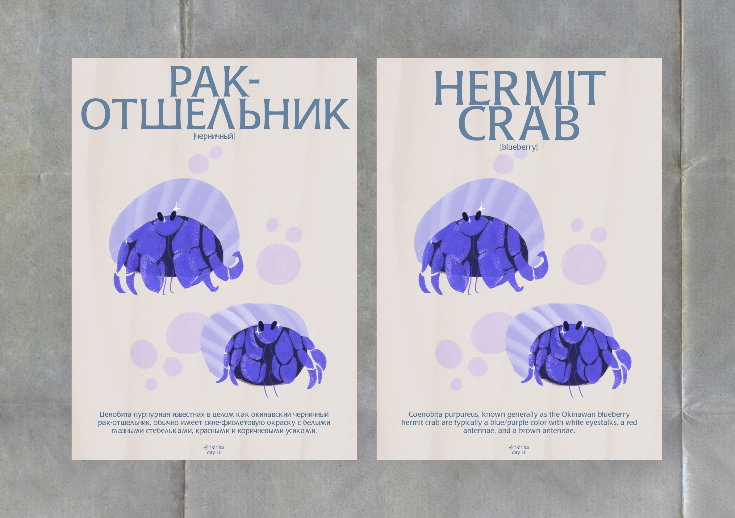 Постер Blueberry Hermit Crab — Изображение №1 — Иллюстрация, Графика на Dprofile
