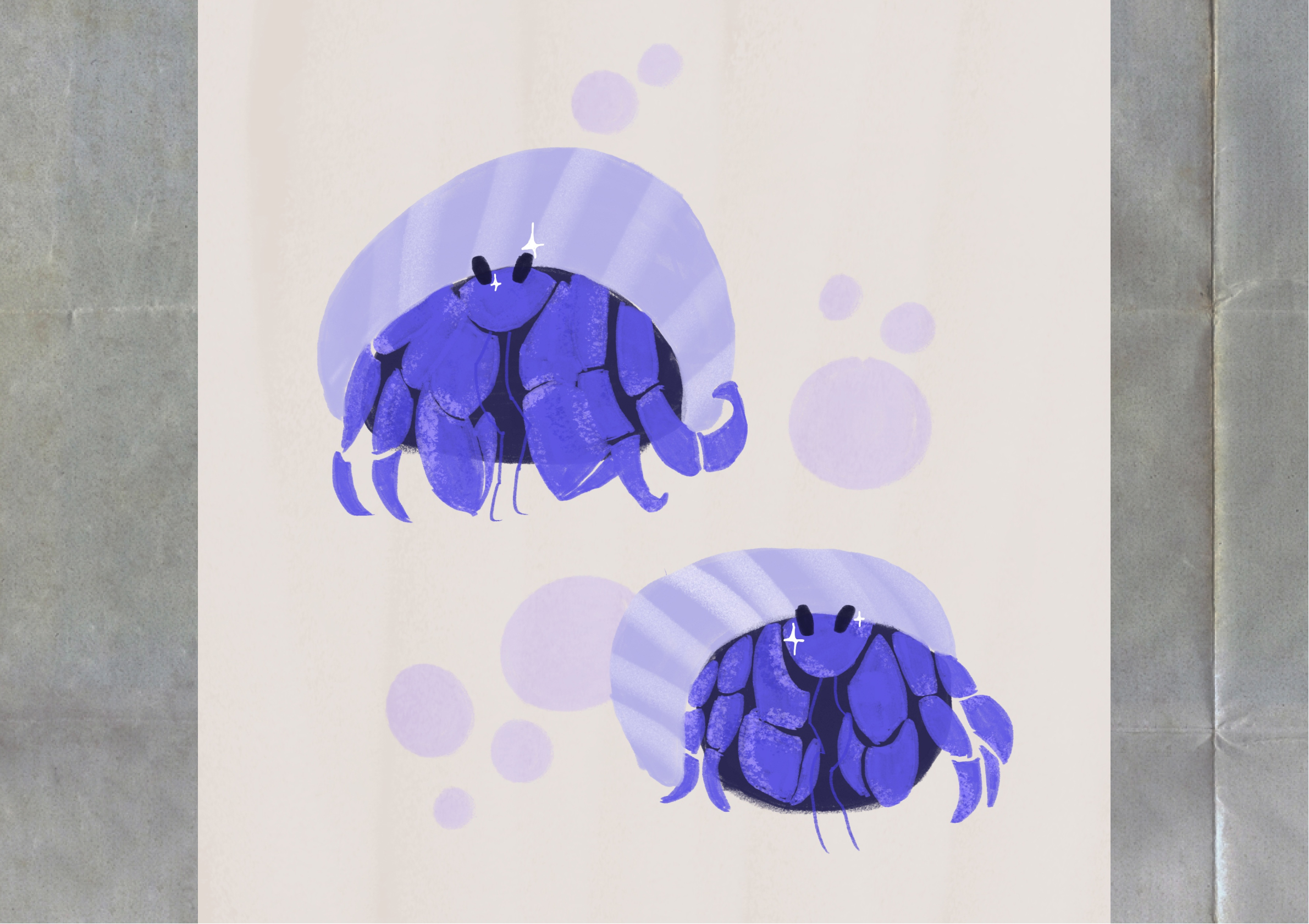 Постер Blueberry Hermit Crab — Изображение №2 — Иллюстрация, Графика на Dprofile