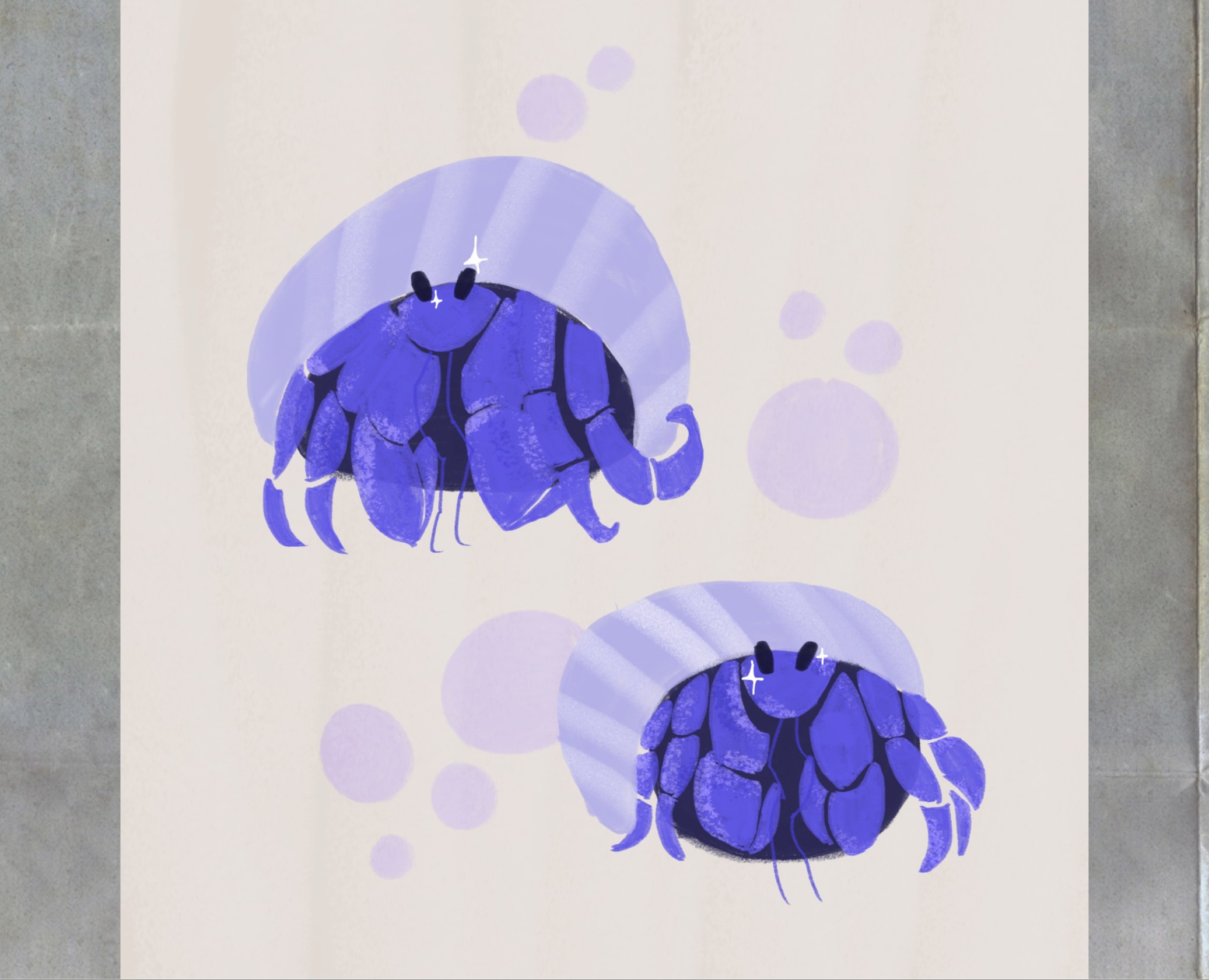 Постер Blueberry Hermit Crab — Иллюстрация, Графика на Dprofile