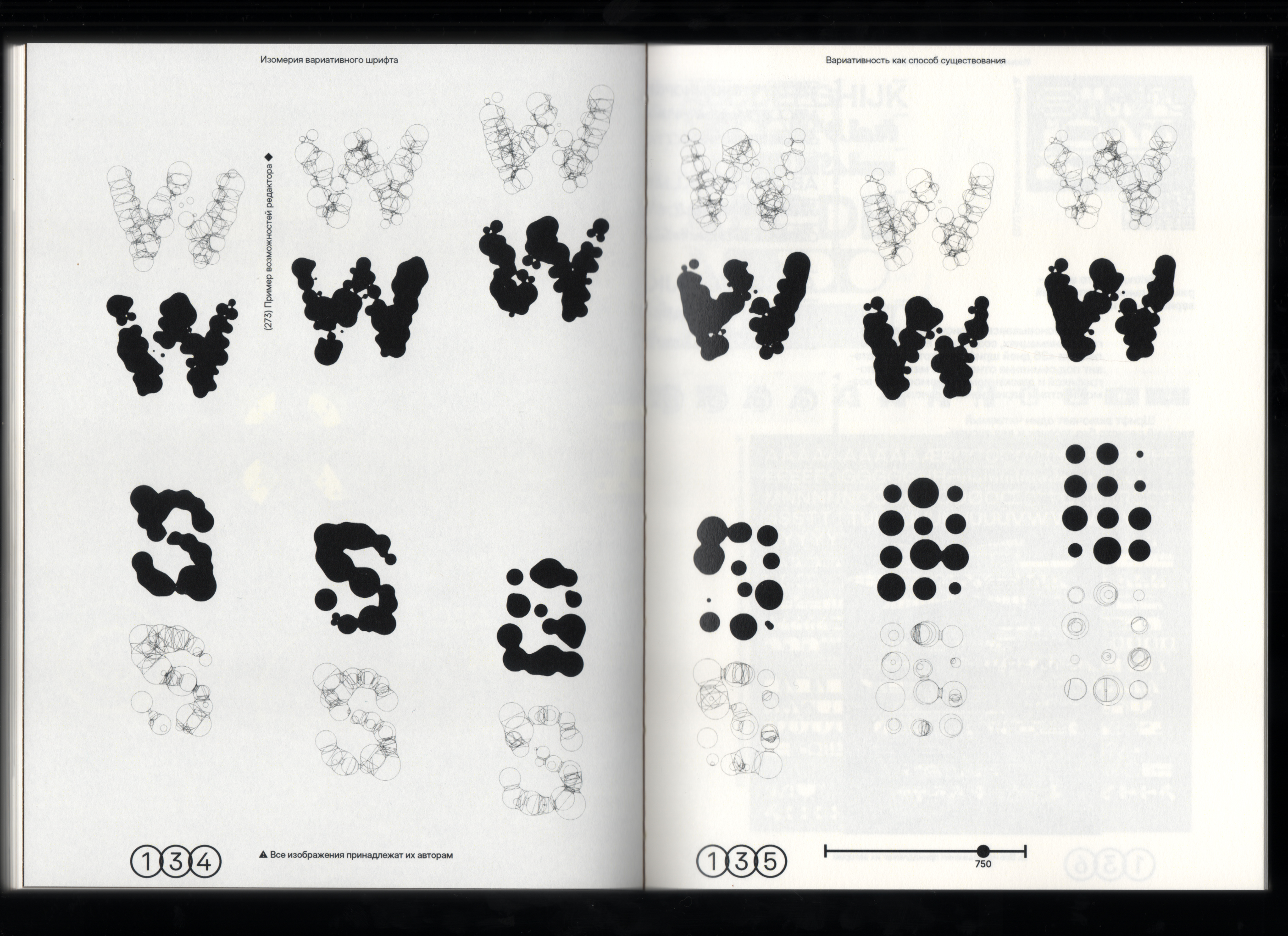 Визуальное исследование "Изомерия вариативного шрифта" — Изображение №62 — Графика на Dprofile
