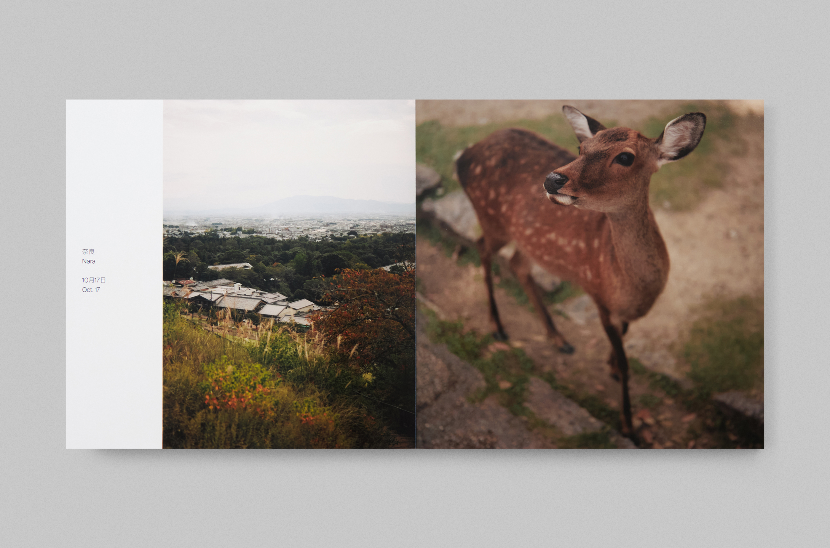 Japanesse Photobooks — Изображение №11 — Графика на Dprofile