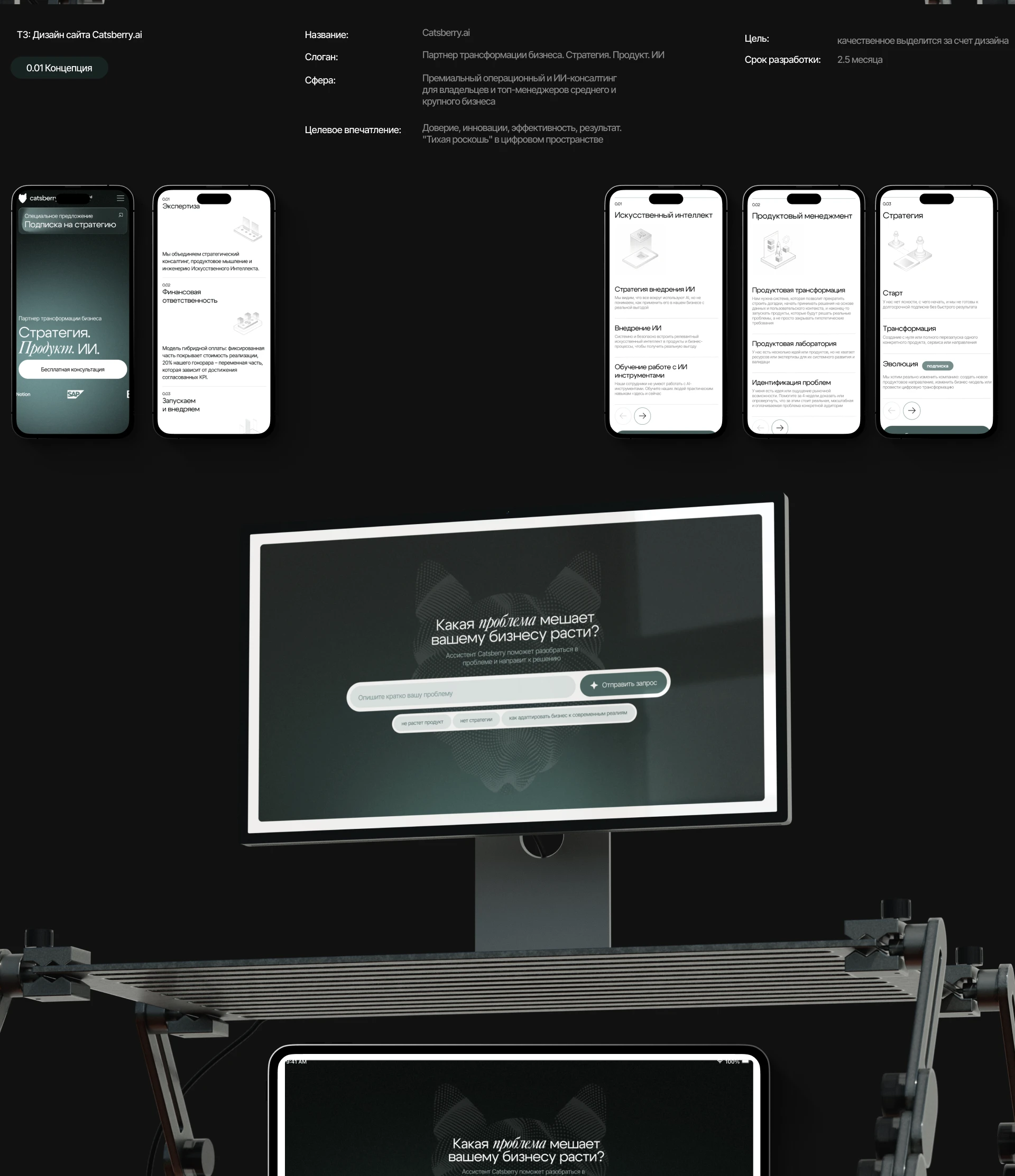 Catsberry - consulting company UX/UI Design — Изображение №2 — Интерфейсы на Dprofile