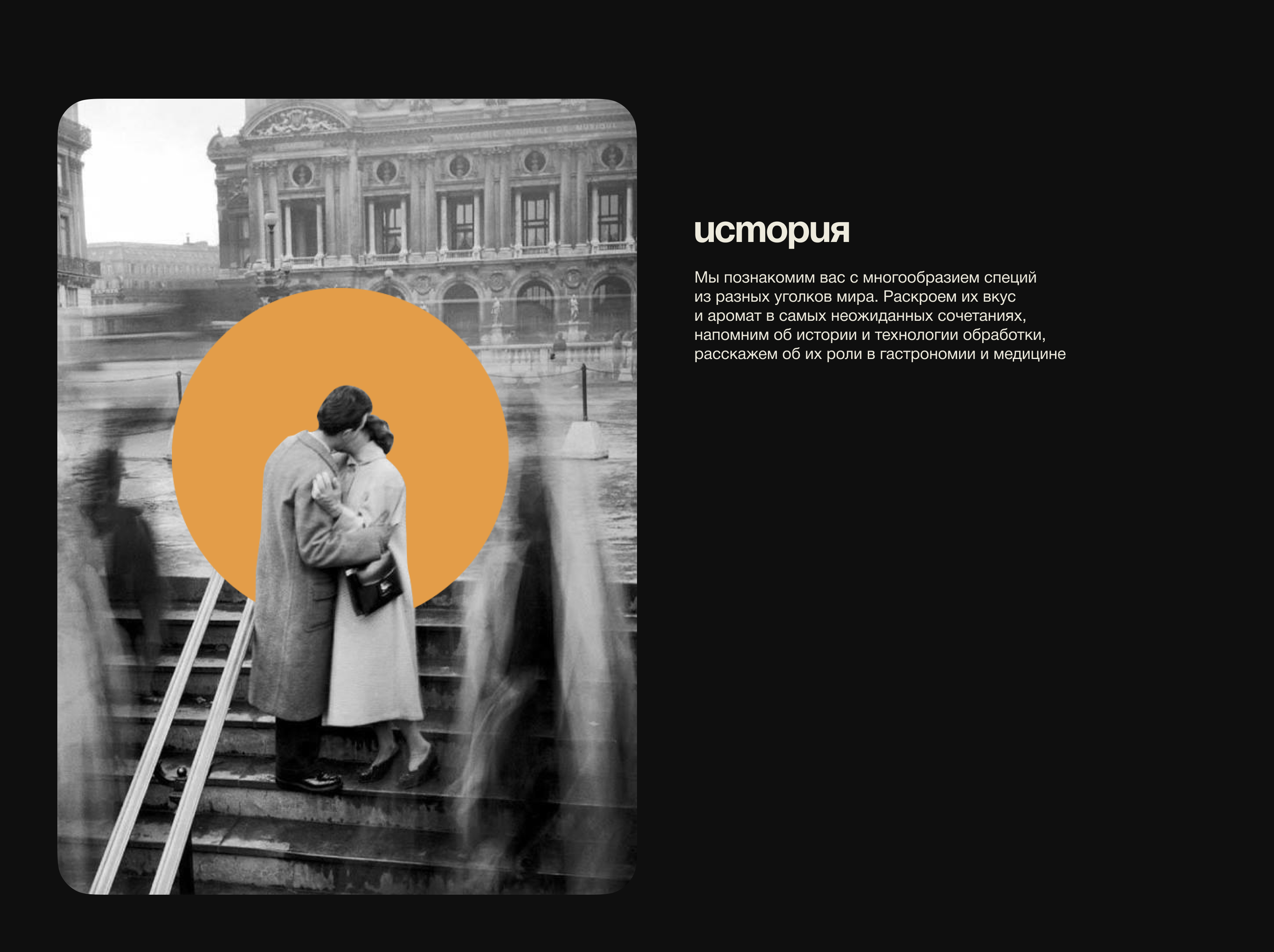 Стиль бара СОЛЬ — Изображение №5 — Брендинг, Маркетинг на Dprofile