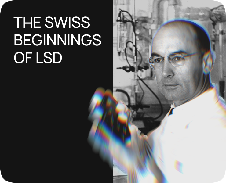 Дизайн статьи об Альберте Хофманне и его открытии — Интерфейсы на Dprofile