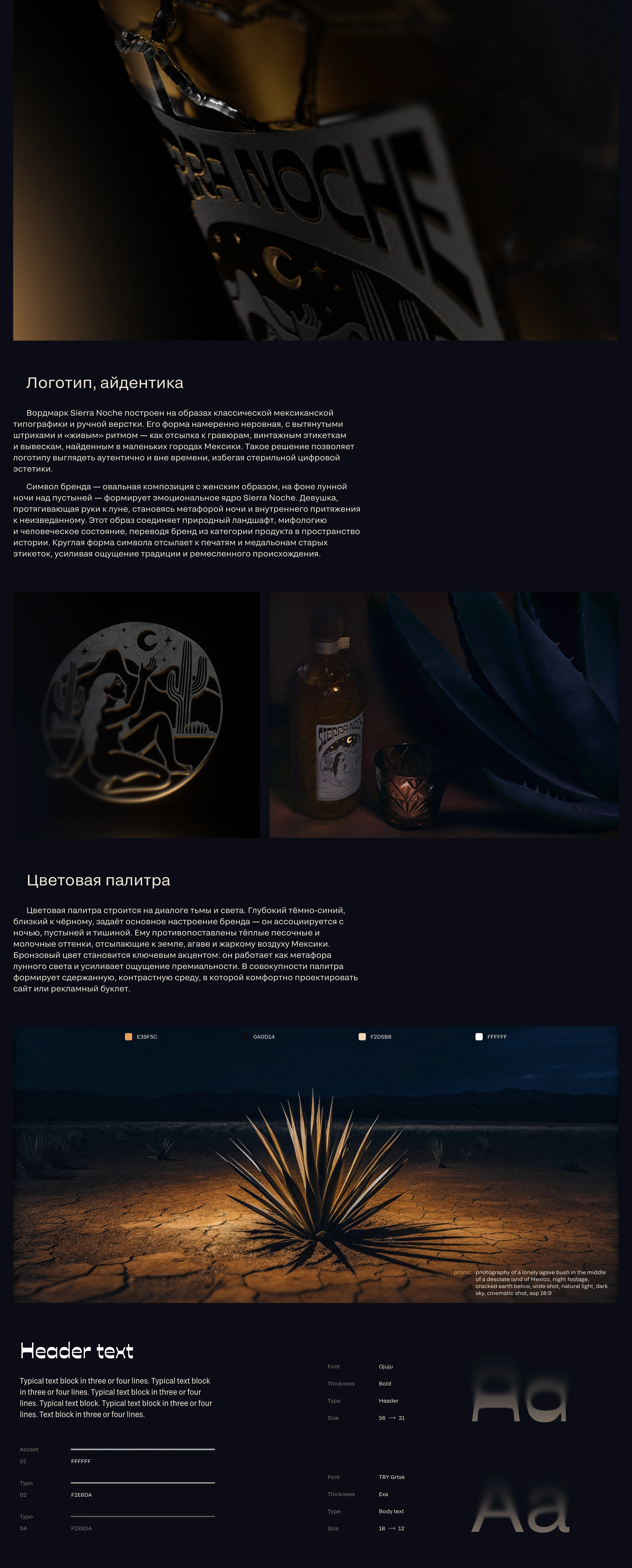 Sierra Noche | Брендинг, вэб — Изображение №4 — Интерфейсы, Брендинг на Dprofile