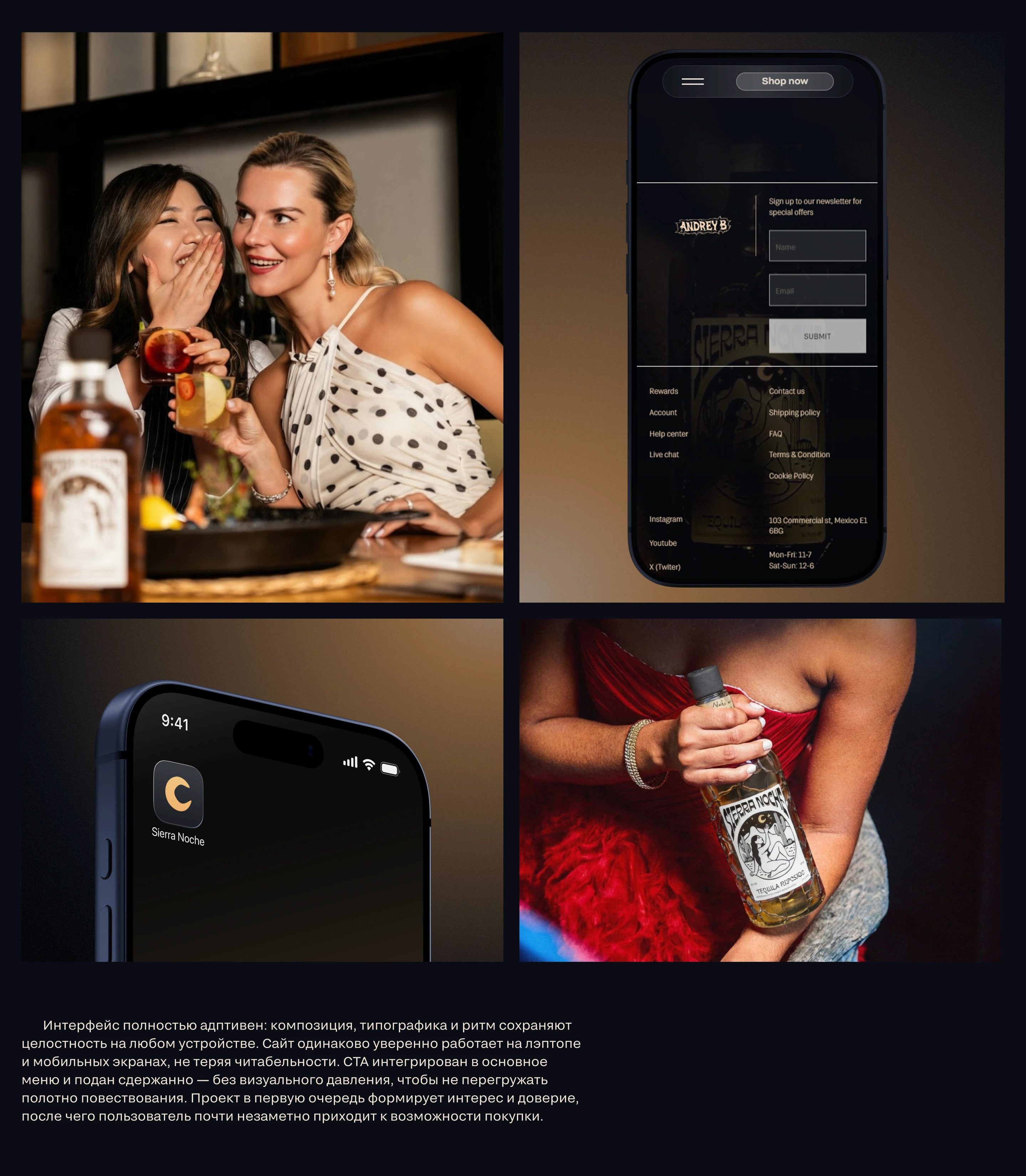 Sierra Noche | Брендинг, вэб — Изображение №6 — Интерфейсы, Брендинг на Dprofile