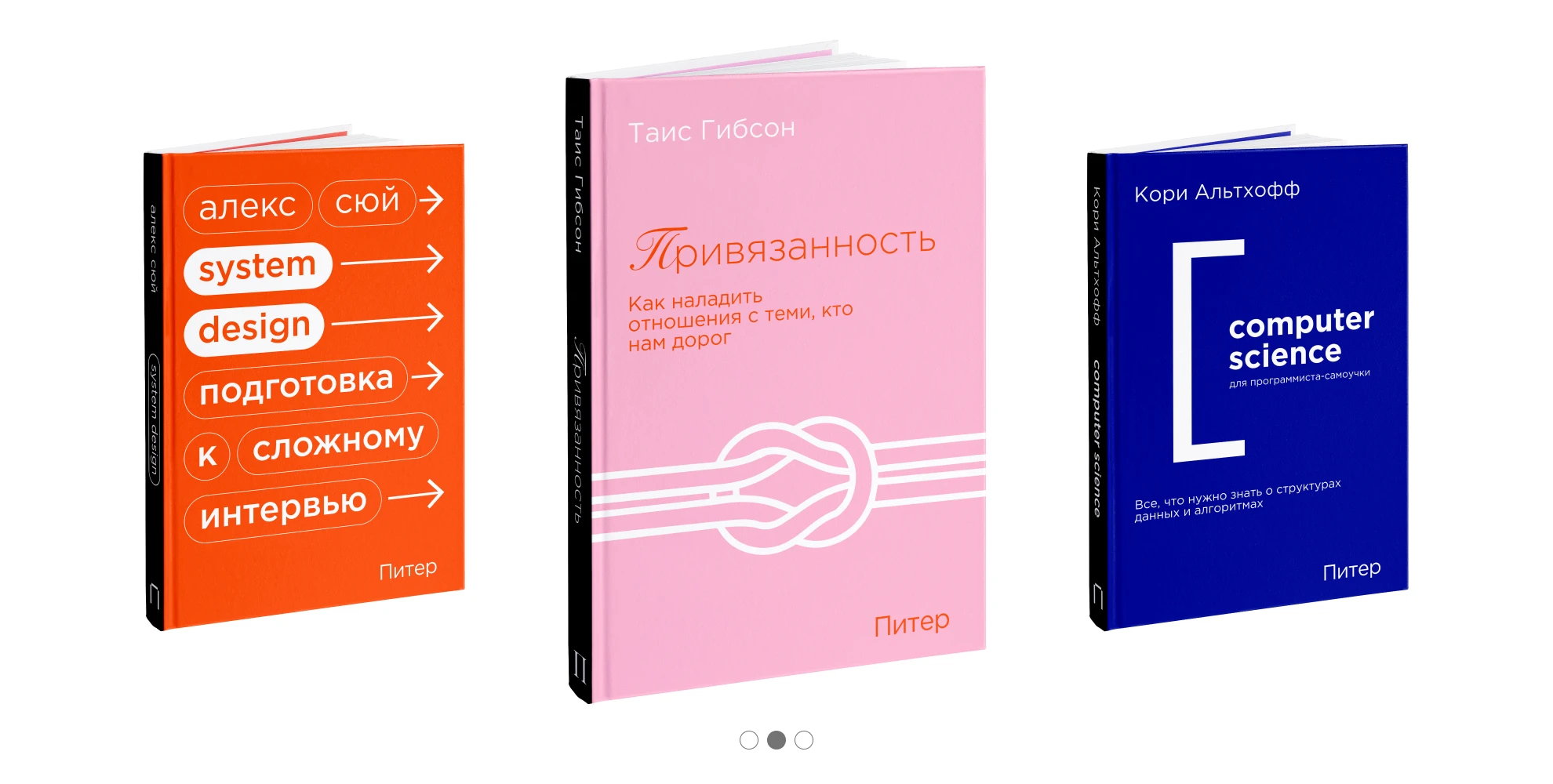 Концепт ребрендинга издательства Питер — Изображение №7 — Брендинг на Dprofile