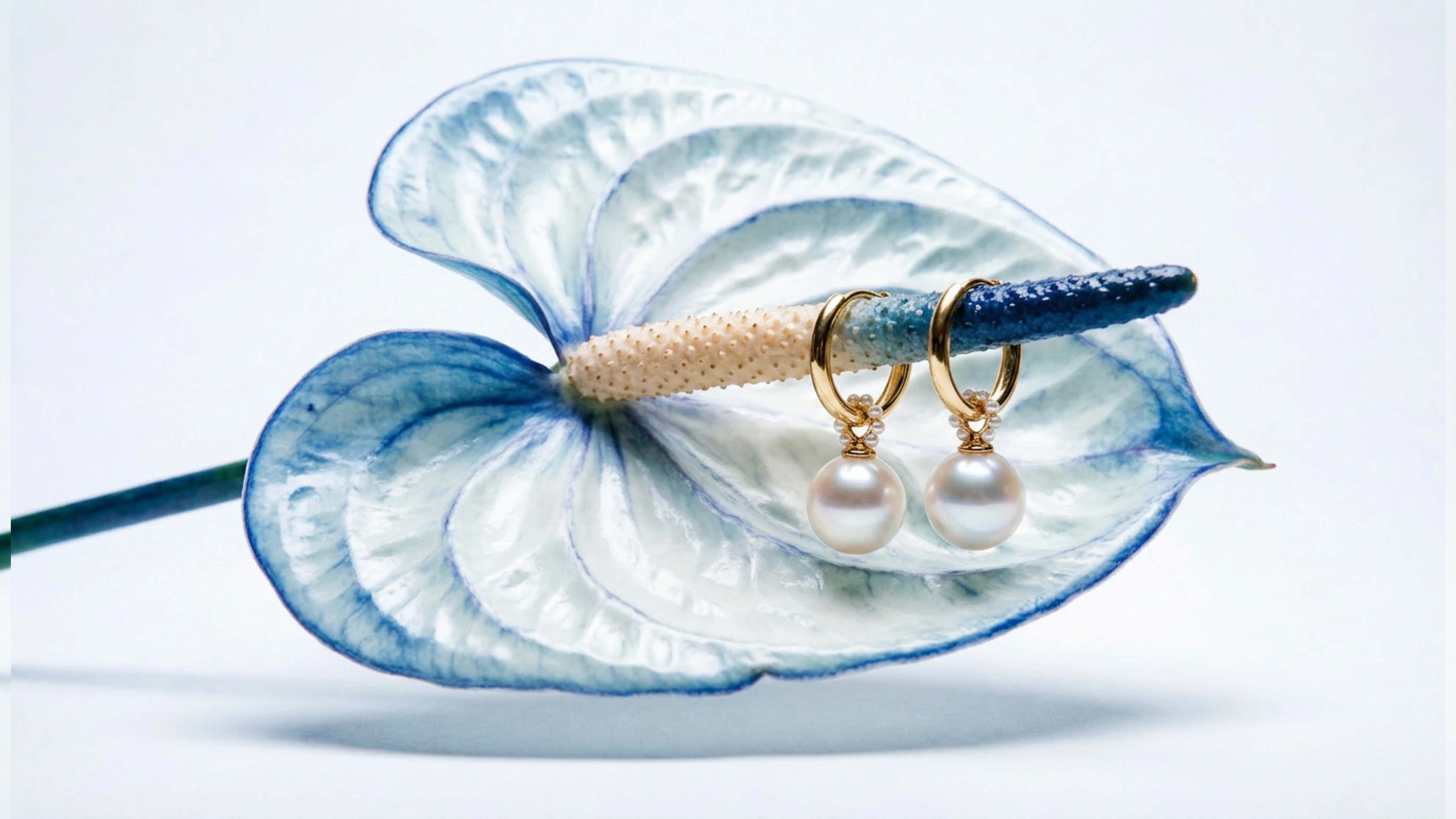 Фирменный стиль для магазина украшений — Изображение №10 — Брендинг на Dprofile