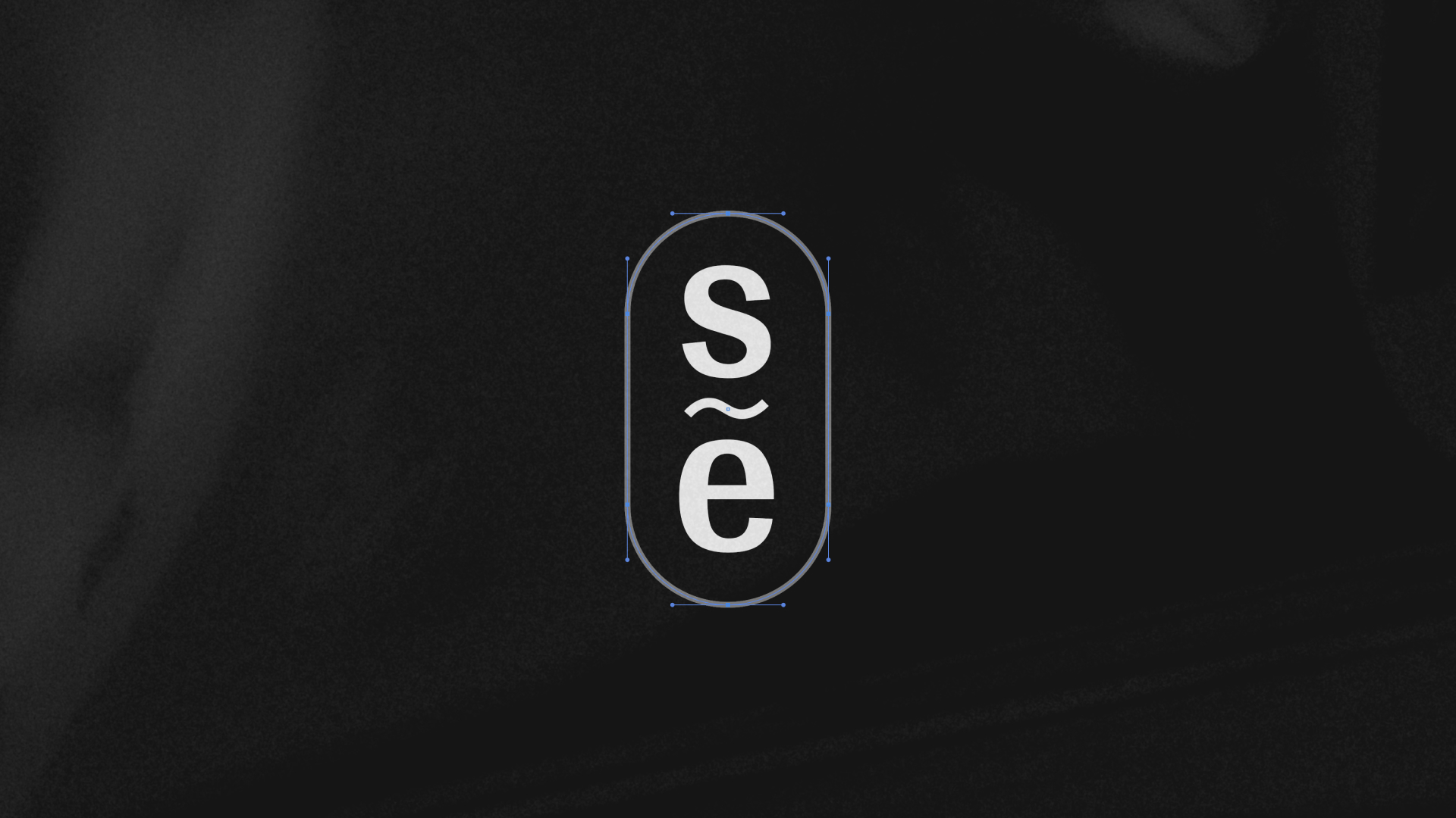 Shevchenko Executive — Изображение №3 — Брендинг на Dprofile