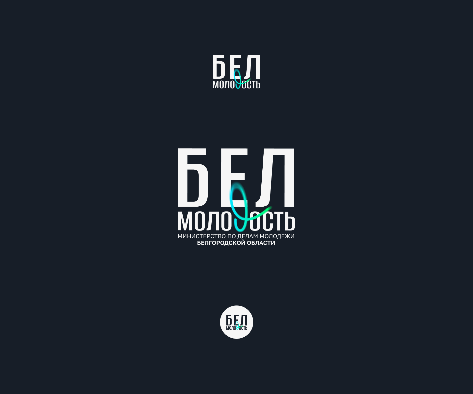 БелМолость — фирменный стиль и мерч — Изображение №3 — Брендинг на Dprofile