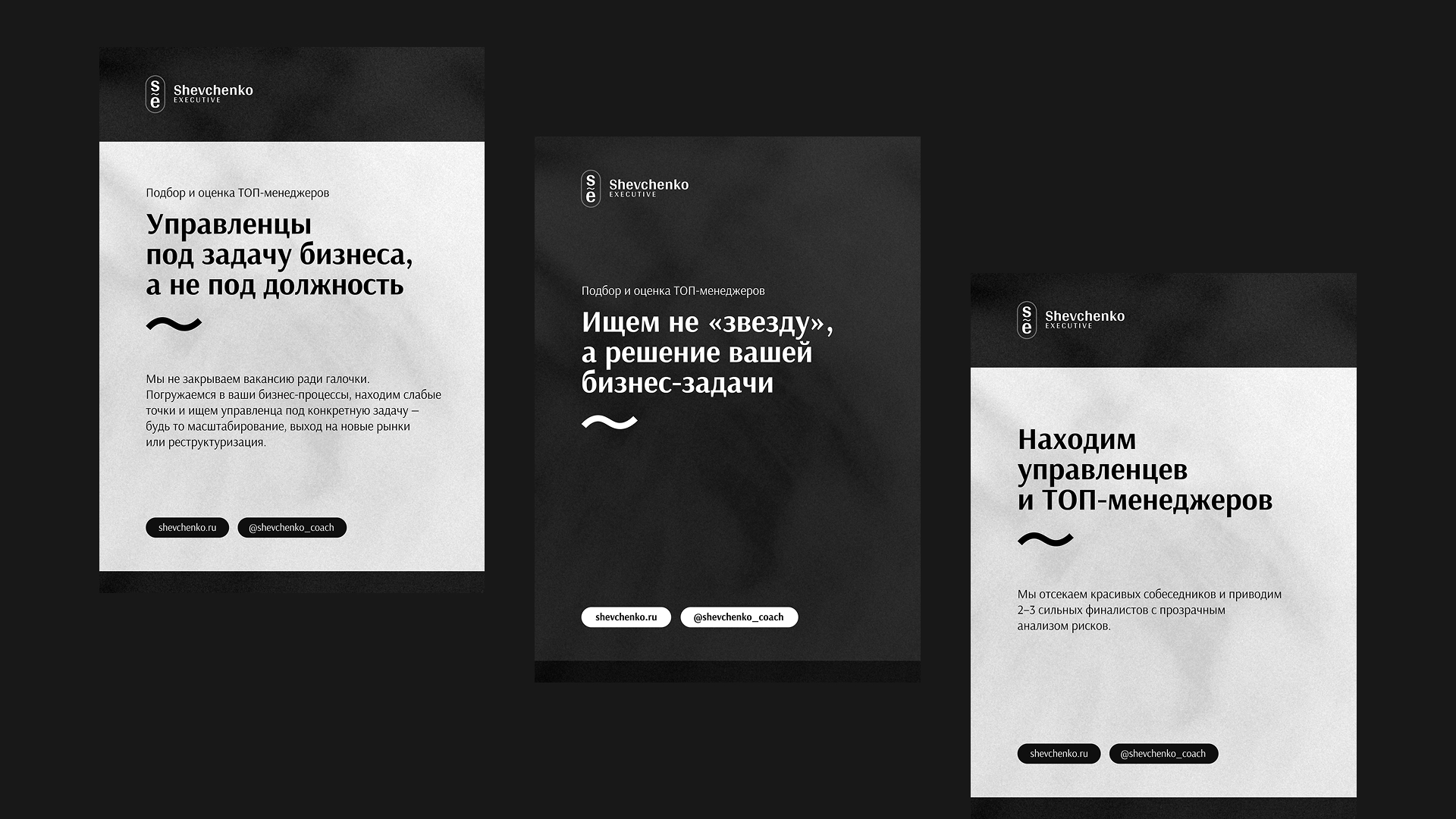 Shevchenko Executive — Изображение №4 — Брендинг на Dprofile