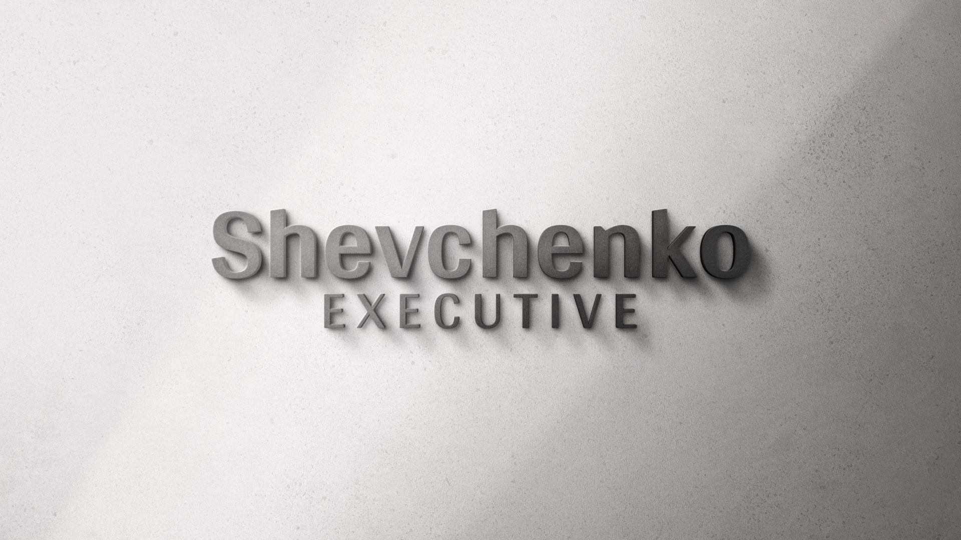 Shevchenko Executive — Изображение №6 — Брендинг на Dprofile