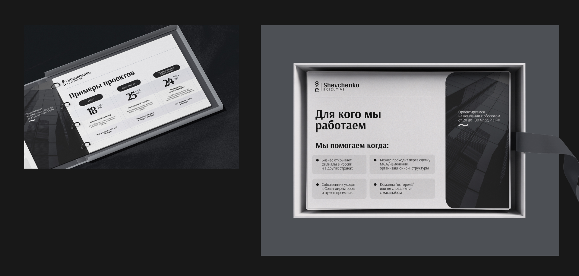 Shevchenko Executive — Изображение №10 — Брендинг на Dprofile