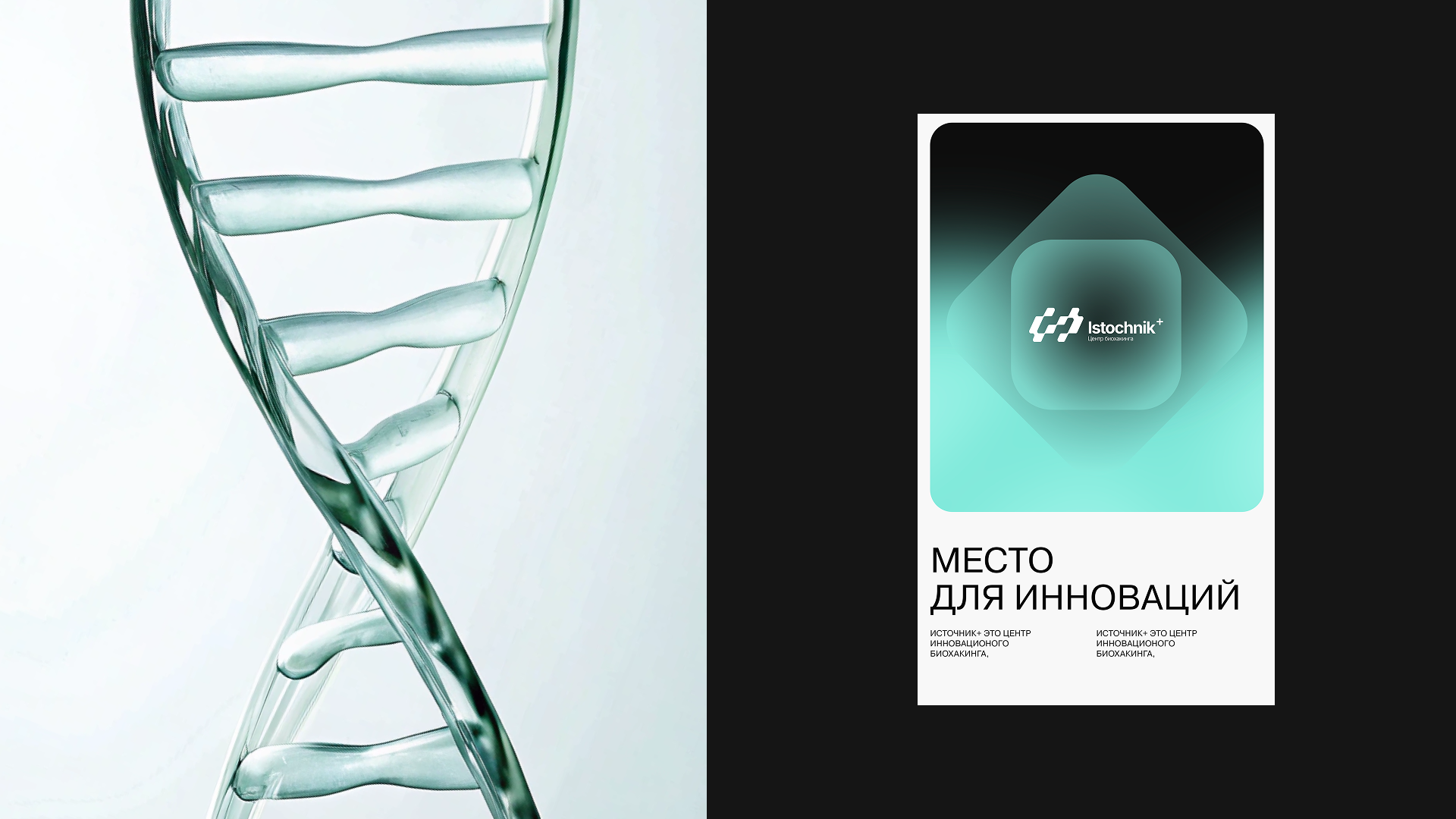 Istochnik+ - разработка айдентики, интернет магазина — Изображение №15 — Интерфейсы, Брендинг на Dprofile