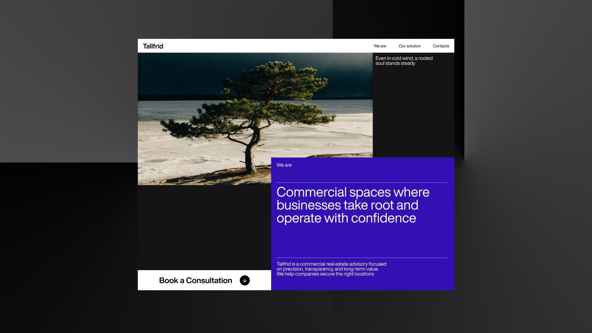 Tallfrid - айдентика и сайт для риэлтерской компании — Изображение №6 — Интерфейсы, Брендинг на Dprofile