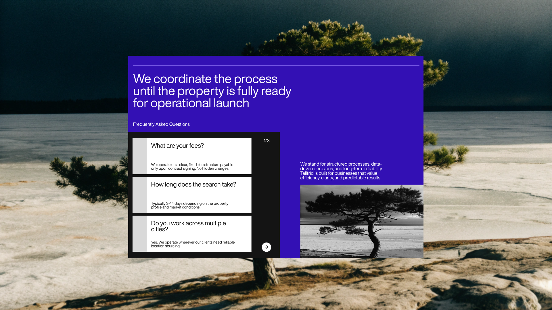 Tallfrid - айдентика и сайт для риэлтерской компании — Изображение №10 — Интерфейсы, Брендинг на Dprofile