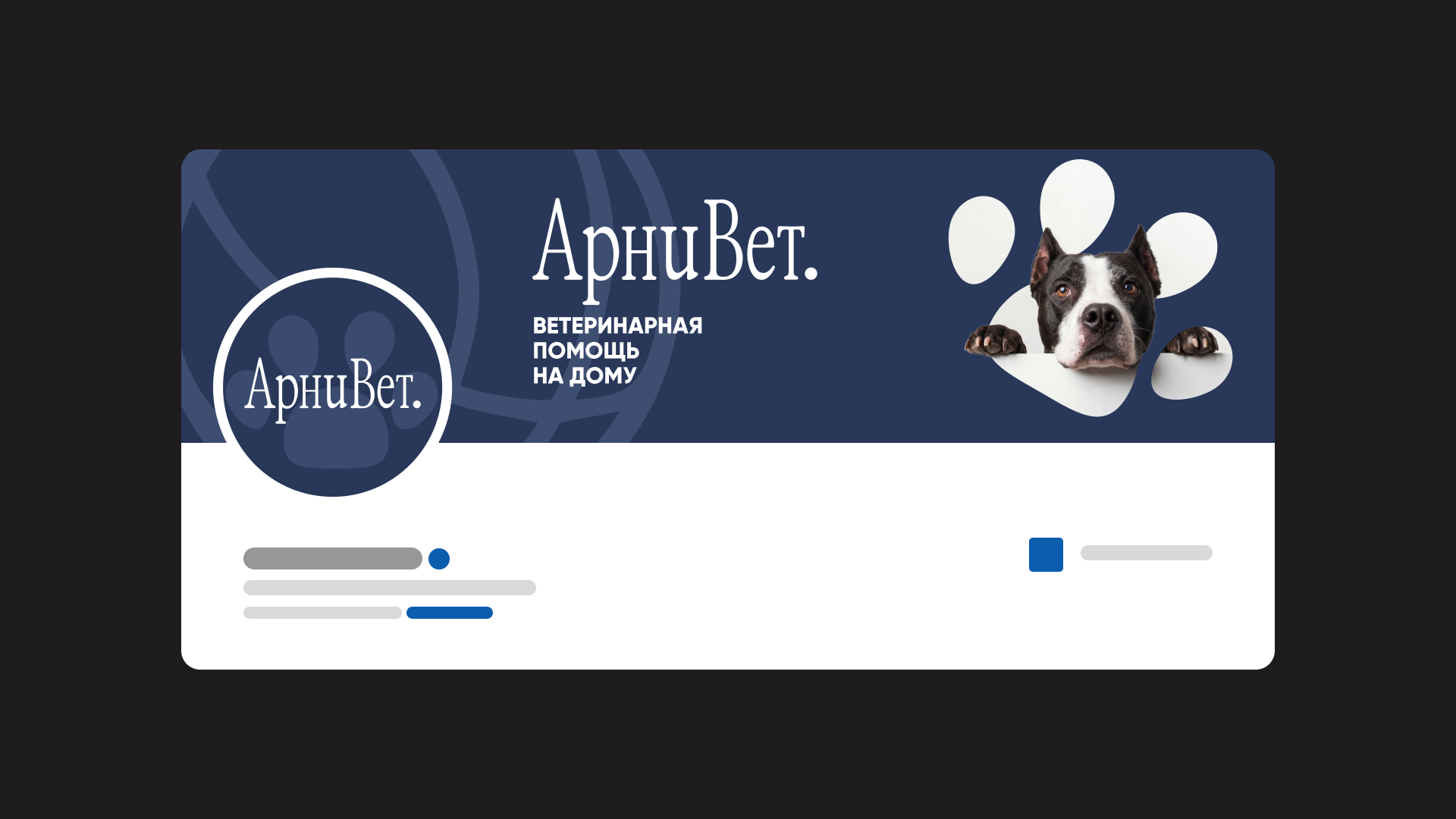АрниВет - скорая ветеринарная помощь | Айдентика — Изображение №12 — Брендинг, Графика на Dprofile